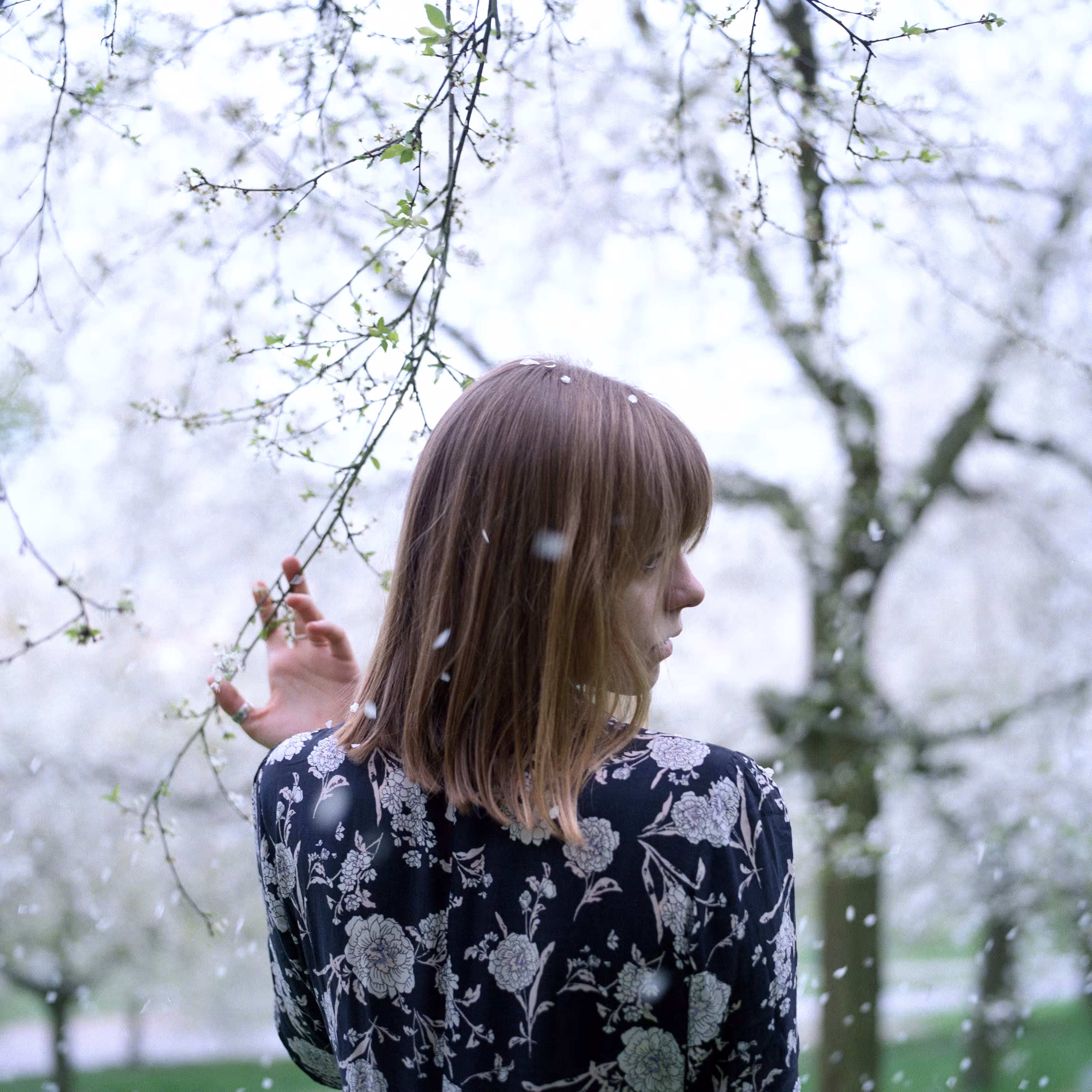 Blooming season