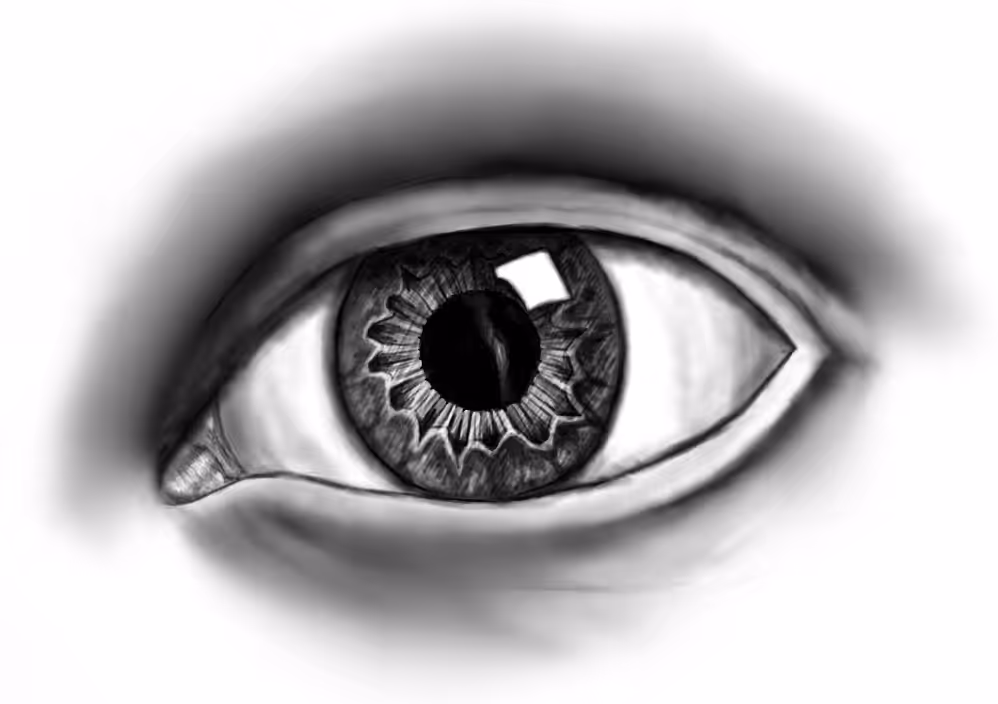 ..::EyeRIS