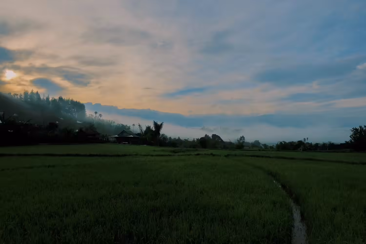 Running from the Sun