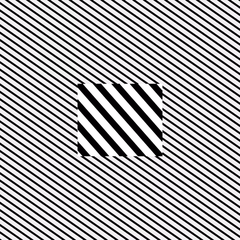 Chromatic dazzle #313