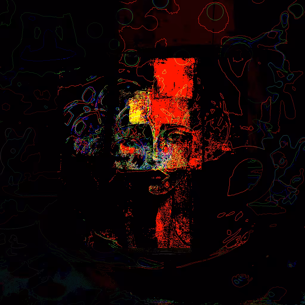 Hidden Face