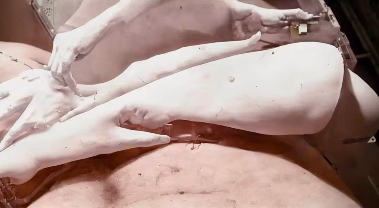 Milo Poelman - “Body 5 - Probing”