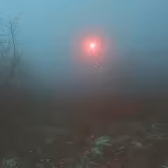 #9