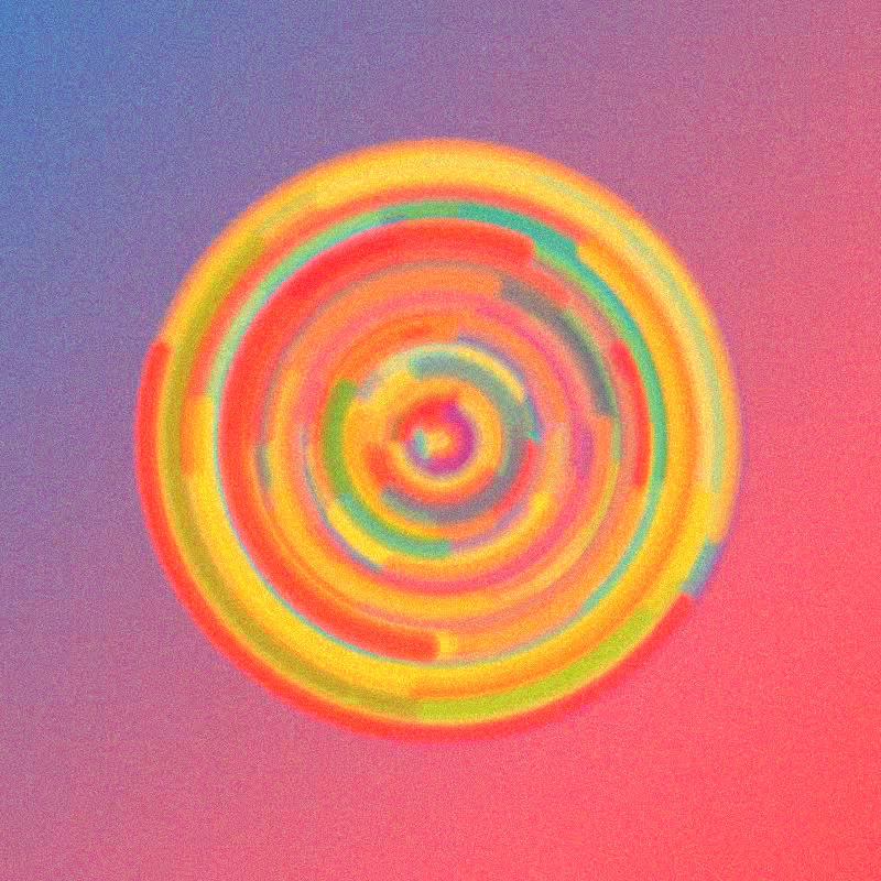 Wisp #505