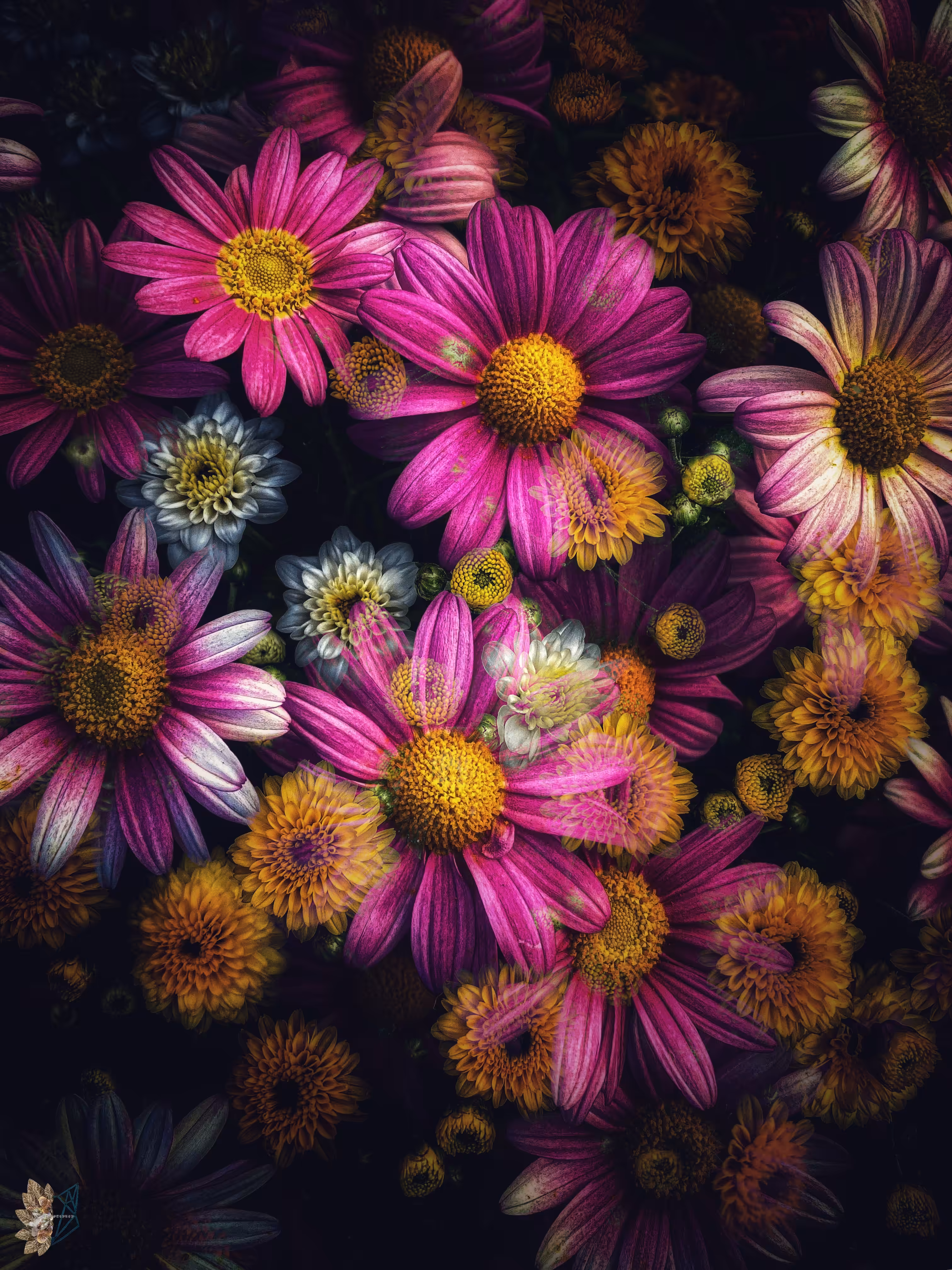 🌸💫Flower Fusion: Floral Fantasy 💗