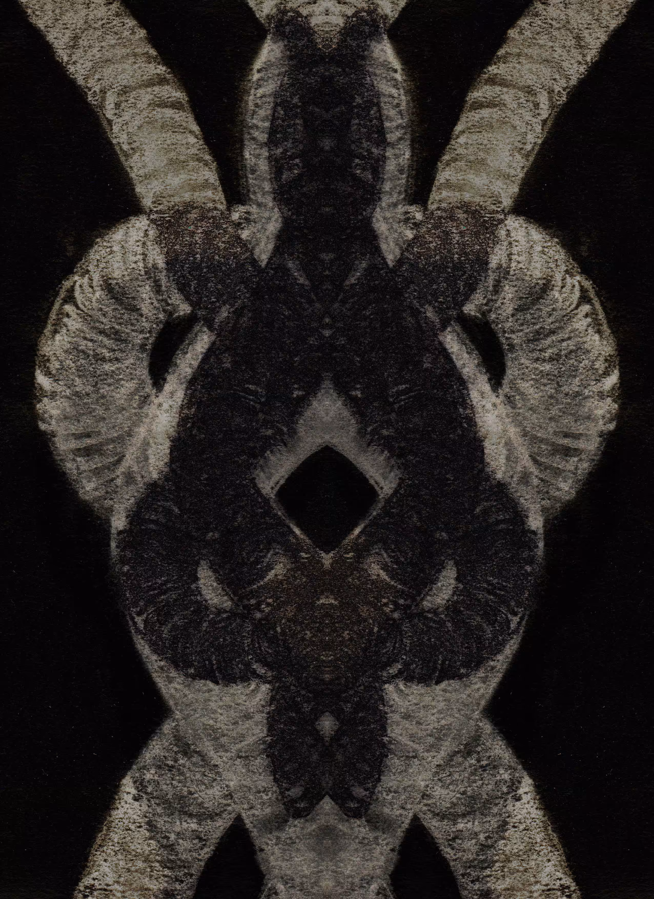 Whispers From The Mirror