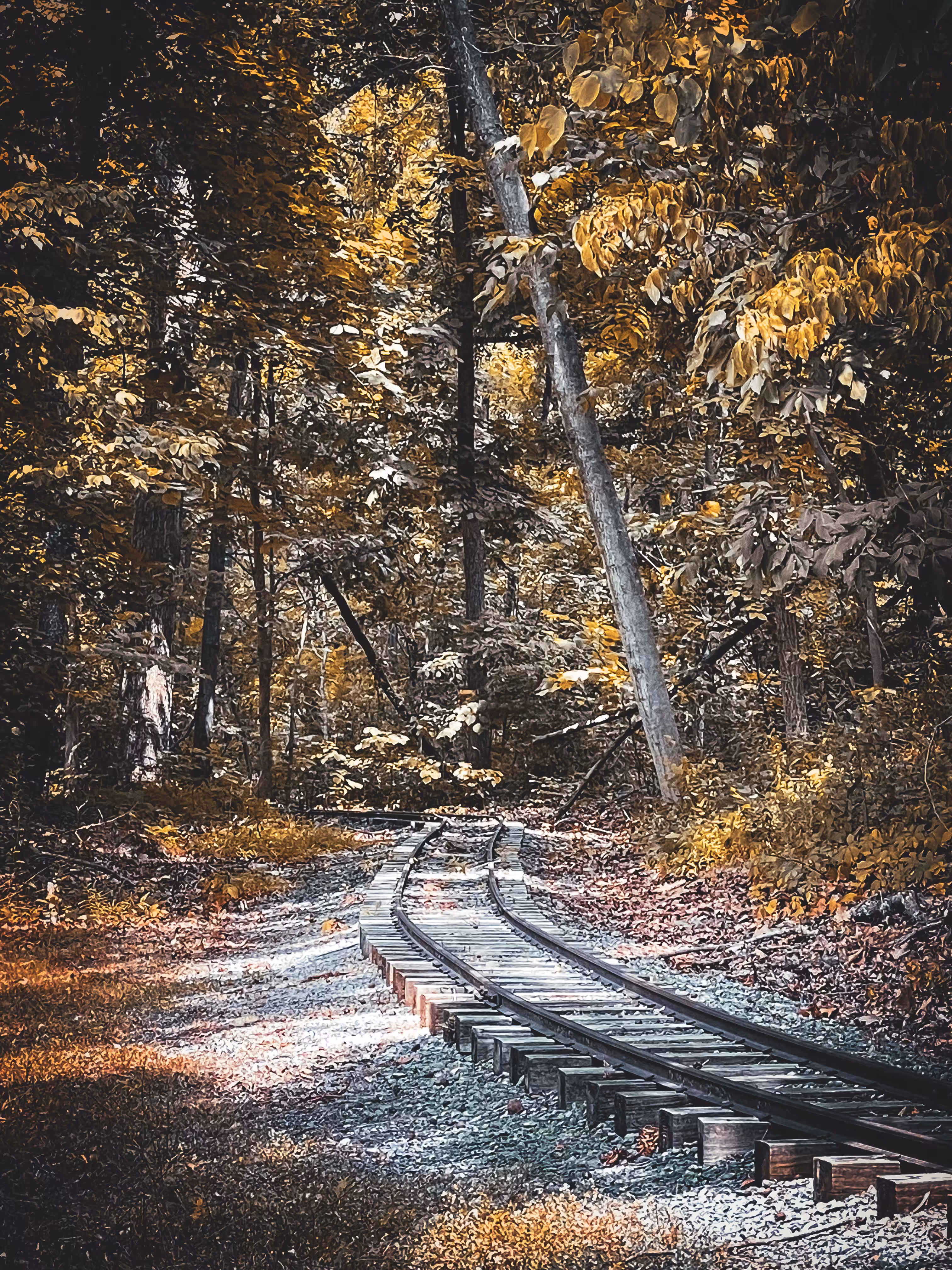 Parallel Lines