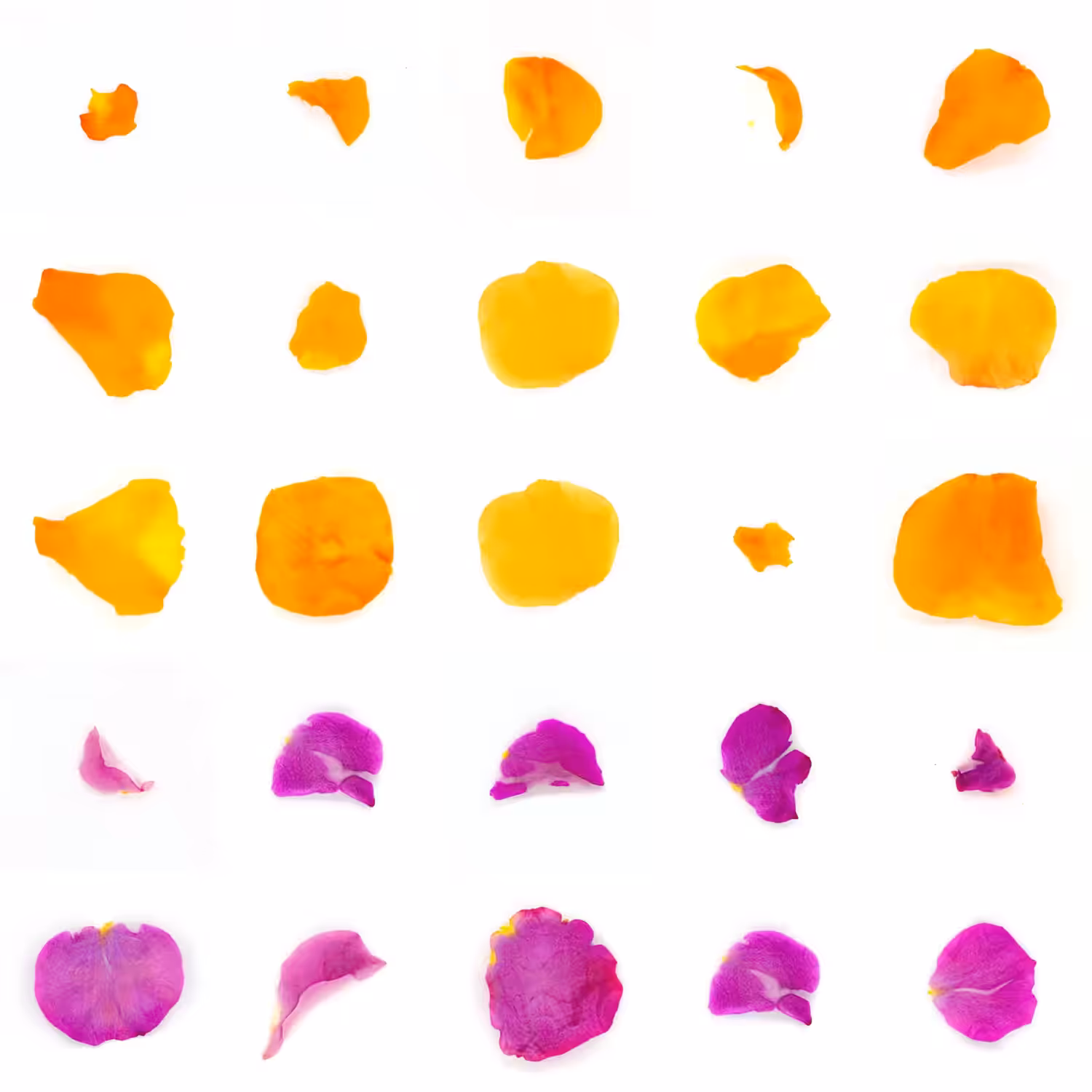 Infinite Petals 5x5#757