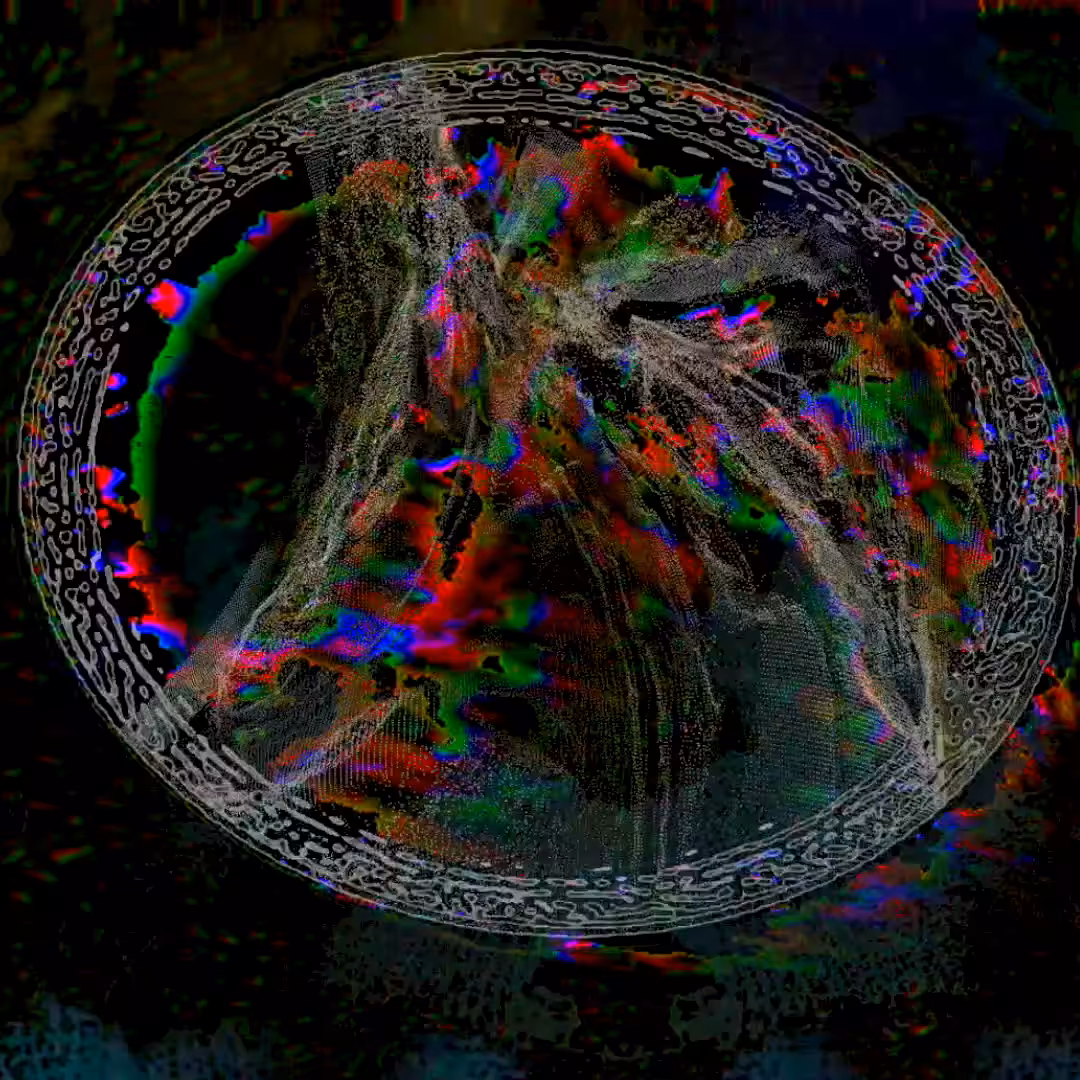 Portal Embers