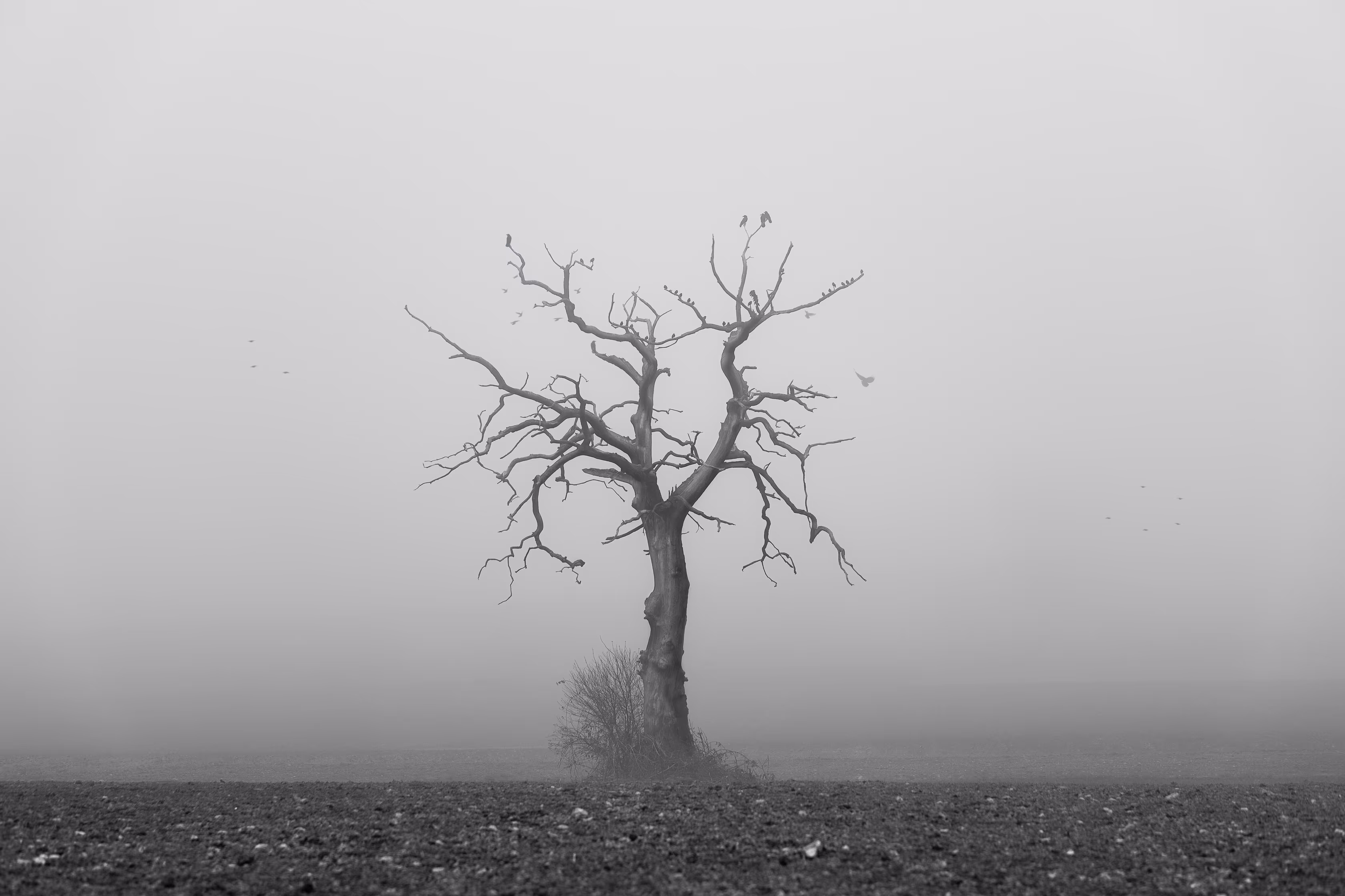 Legacy: The Witch