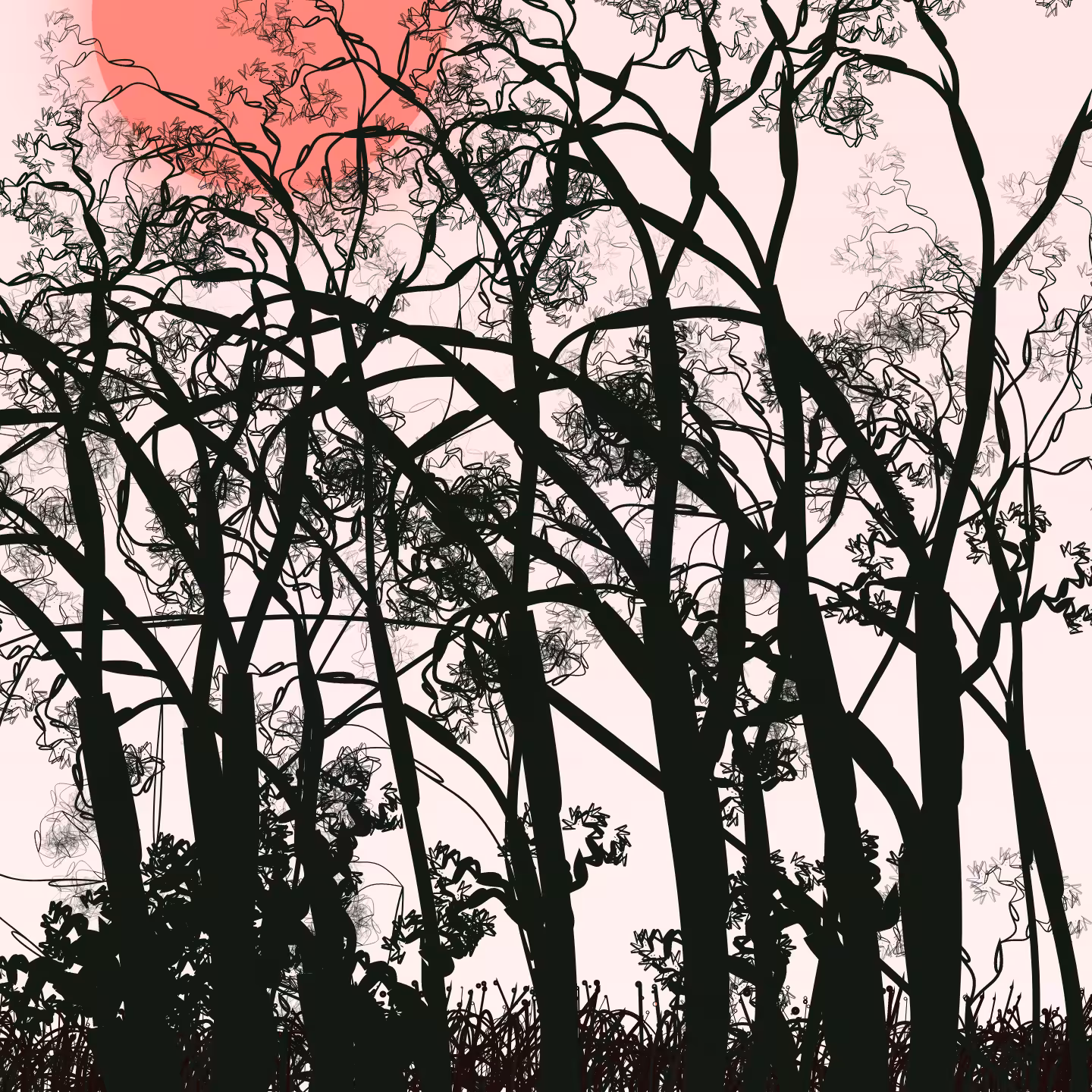 Wildwood Forest #524