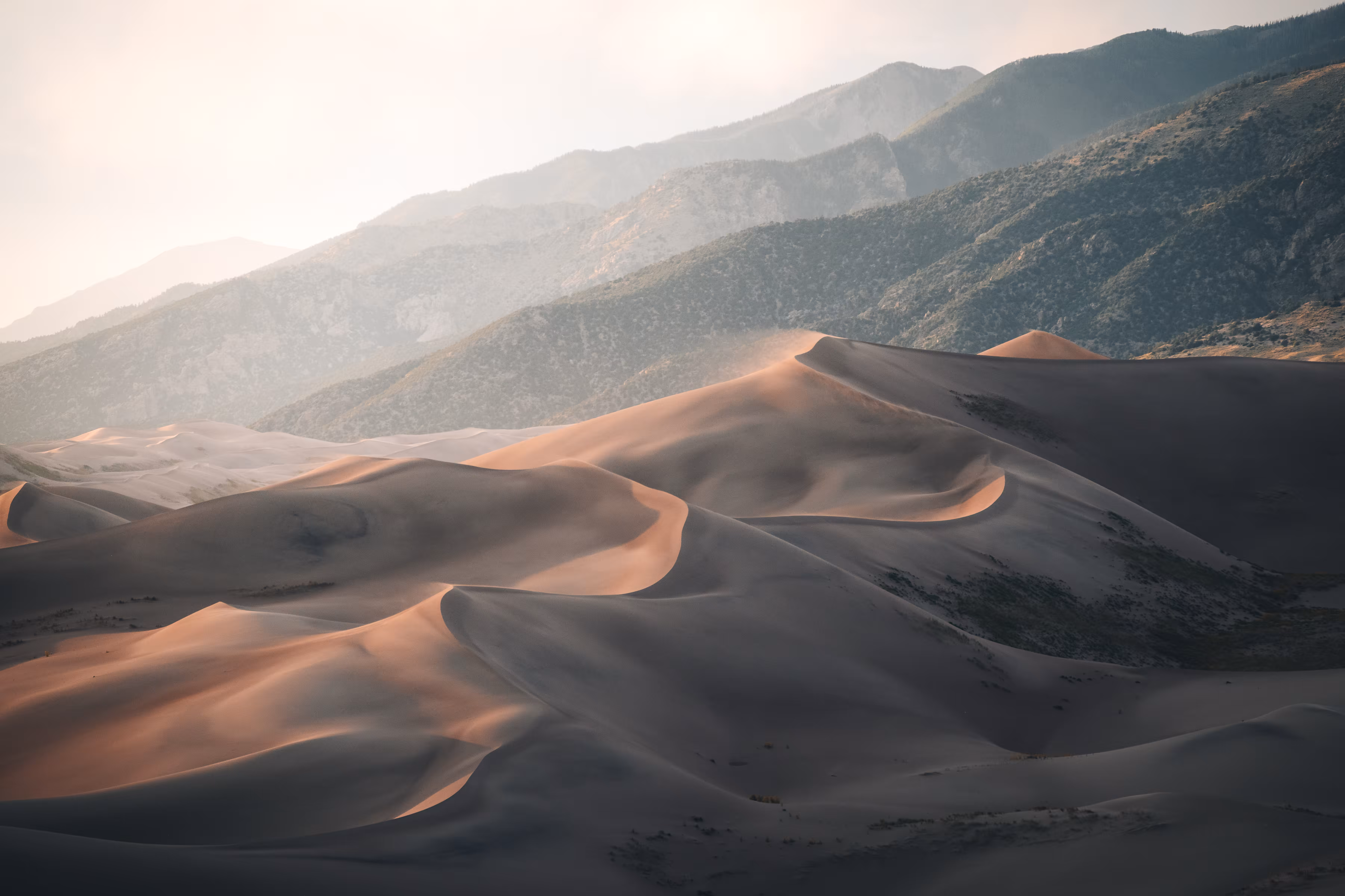 DUNE - 16, seas