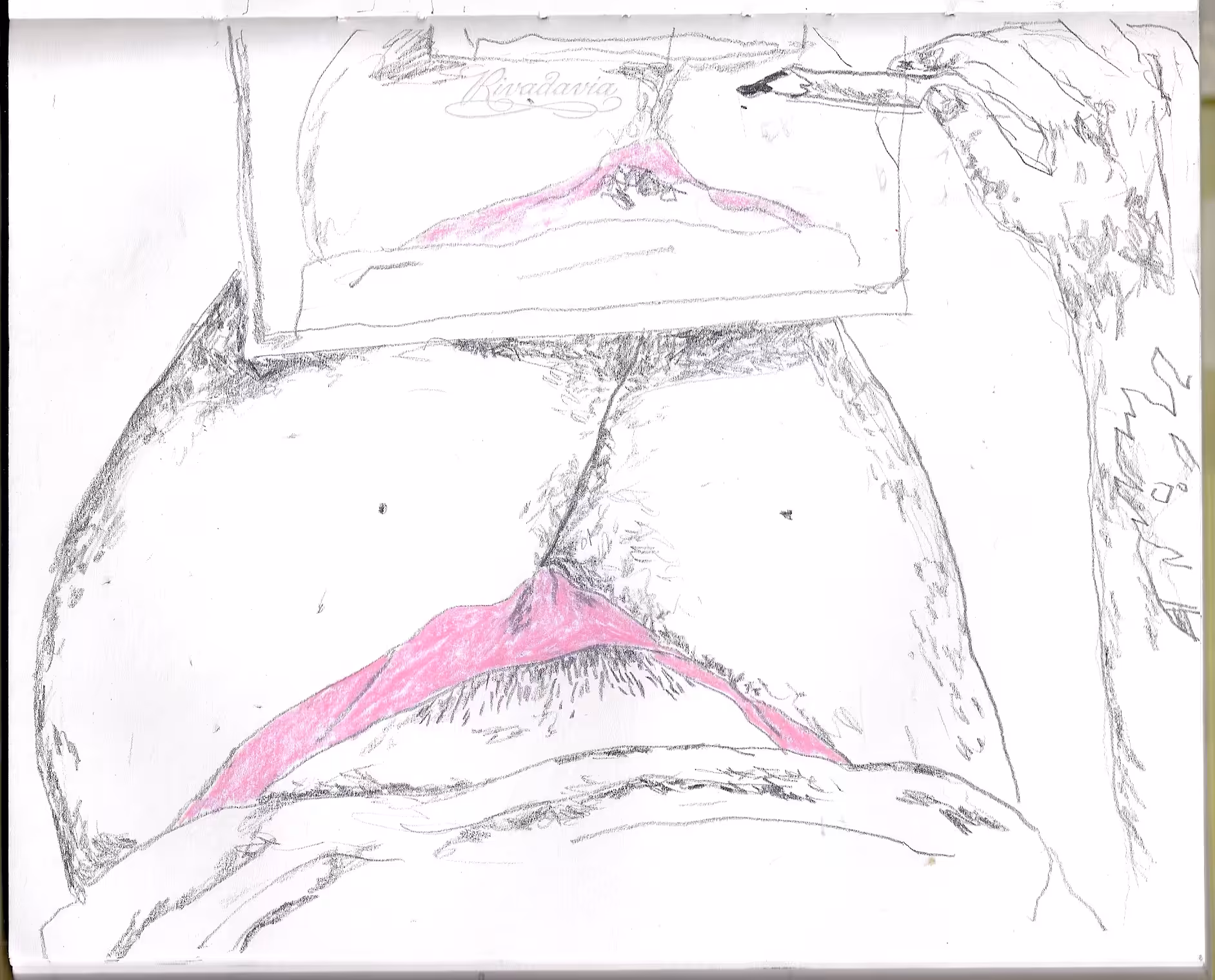 panty