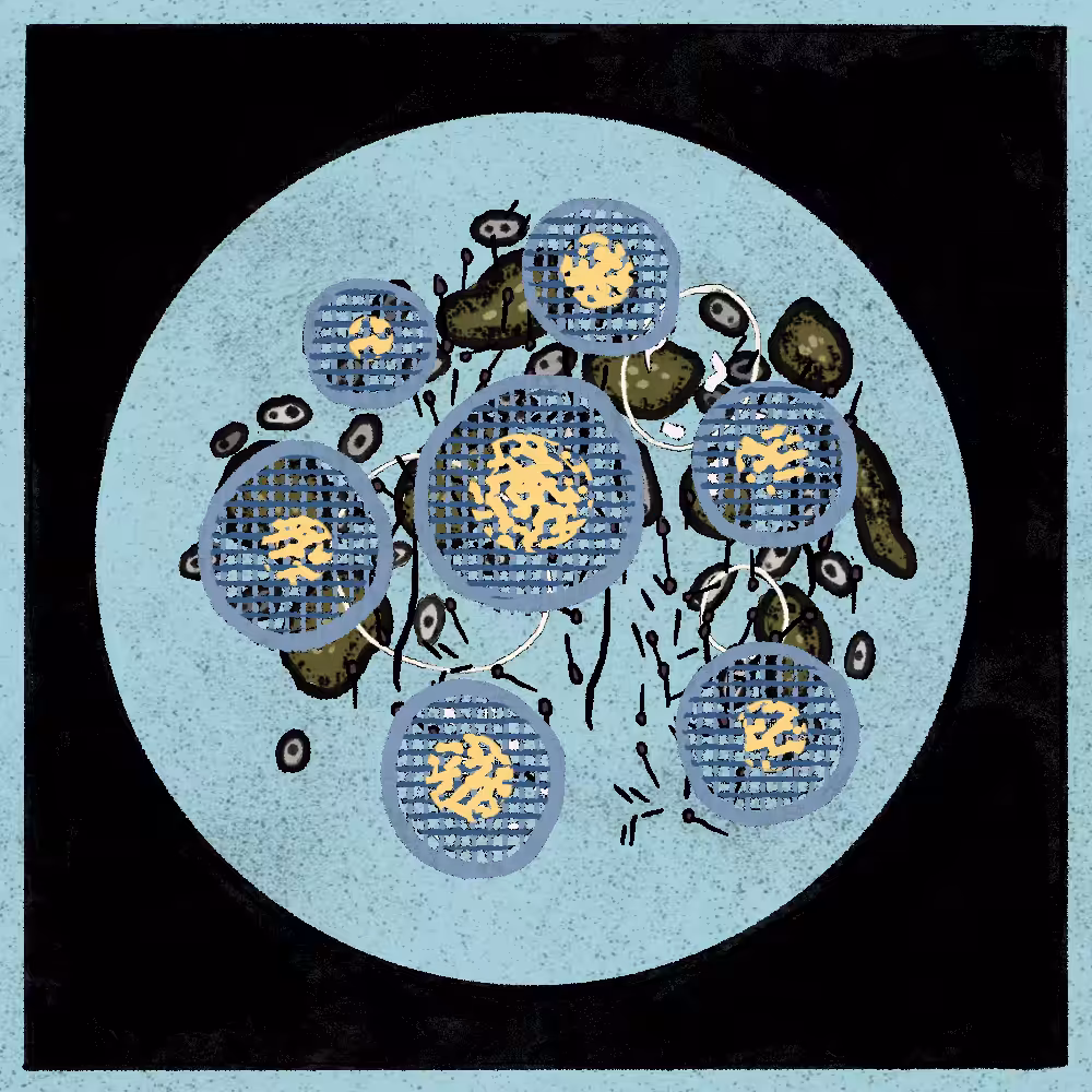 Microbes #71