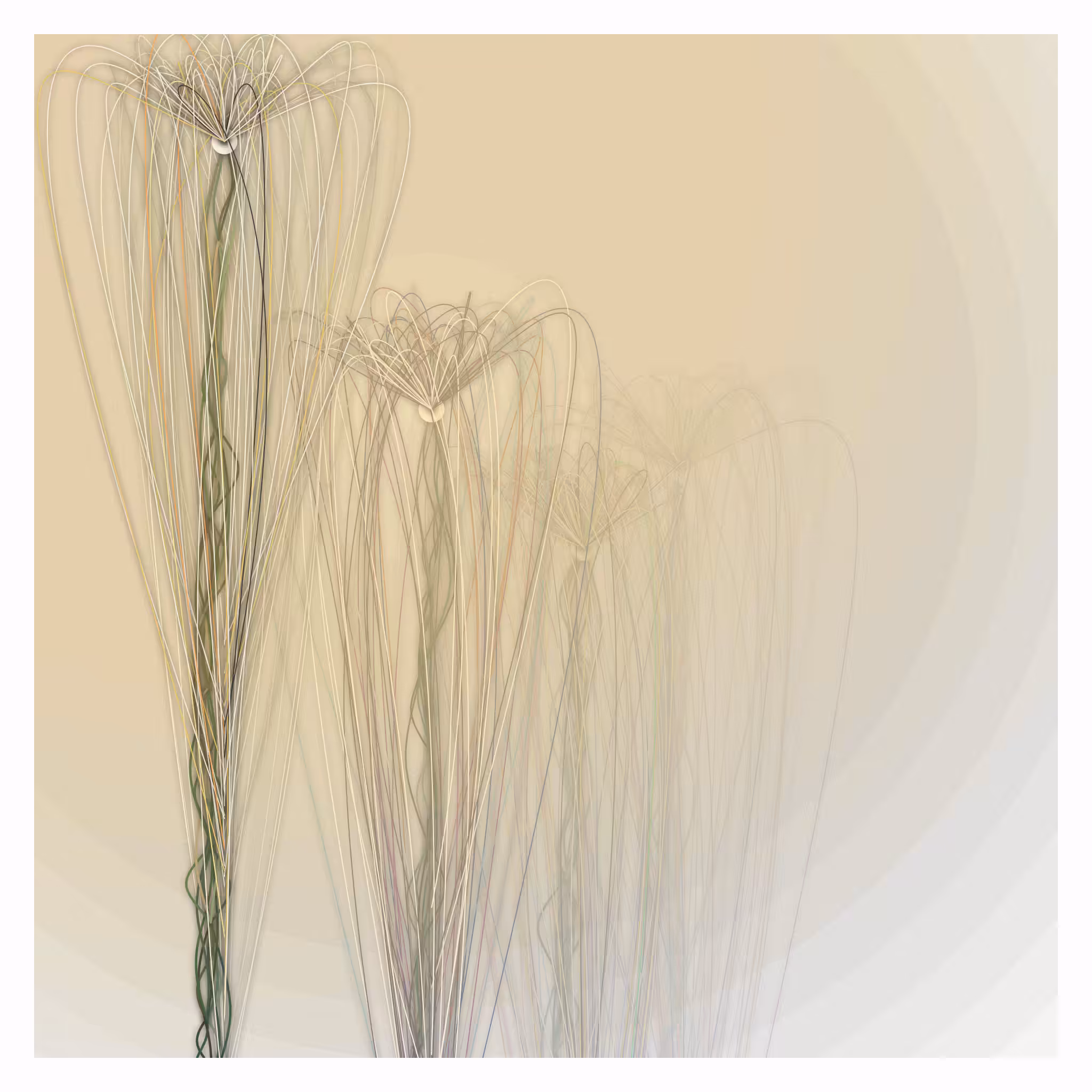 antigen #24