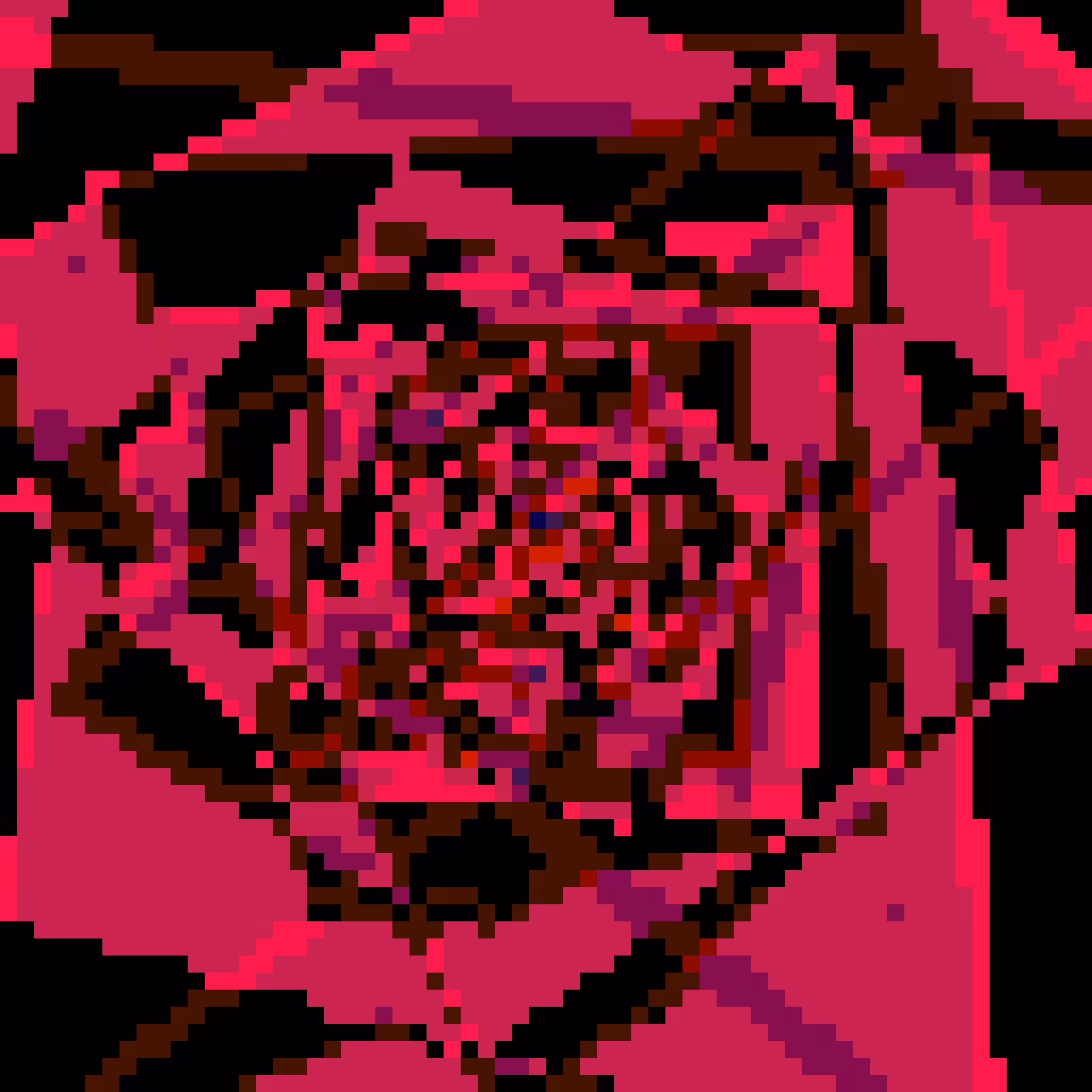 Voidroses #35