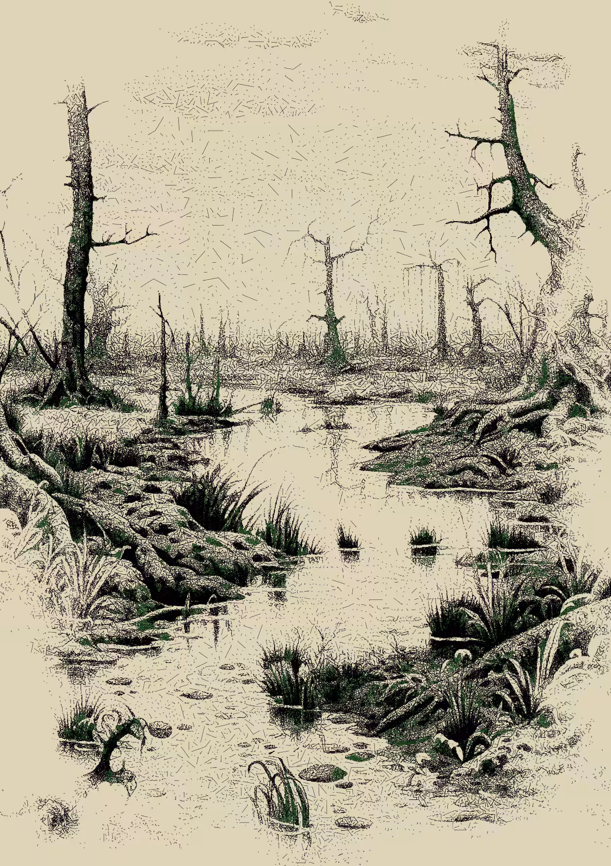 protect the forests