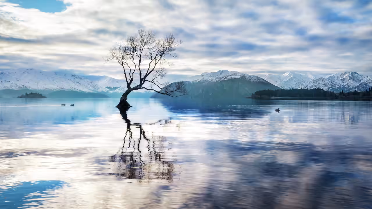 #29: Alive. New Zealand.