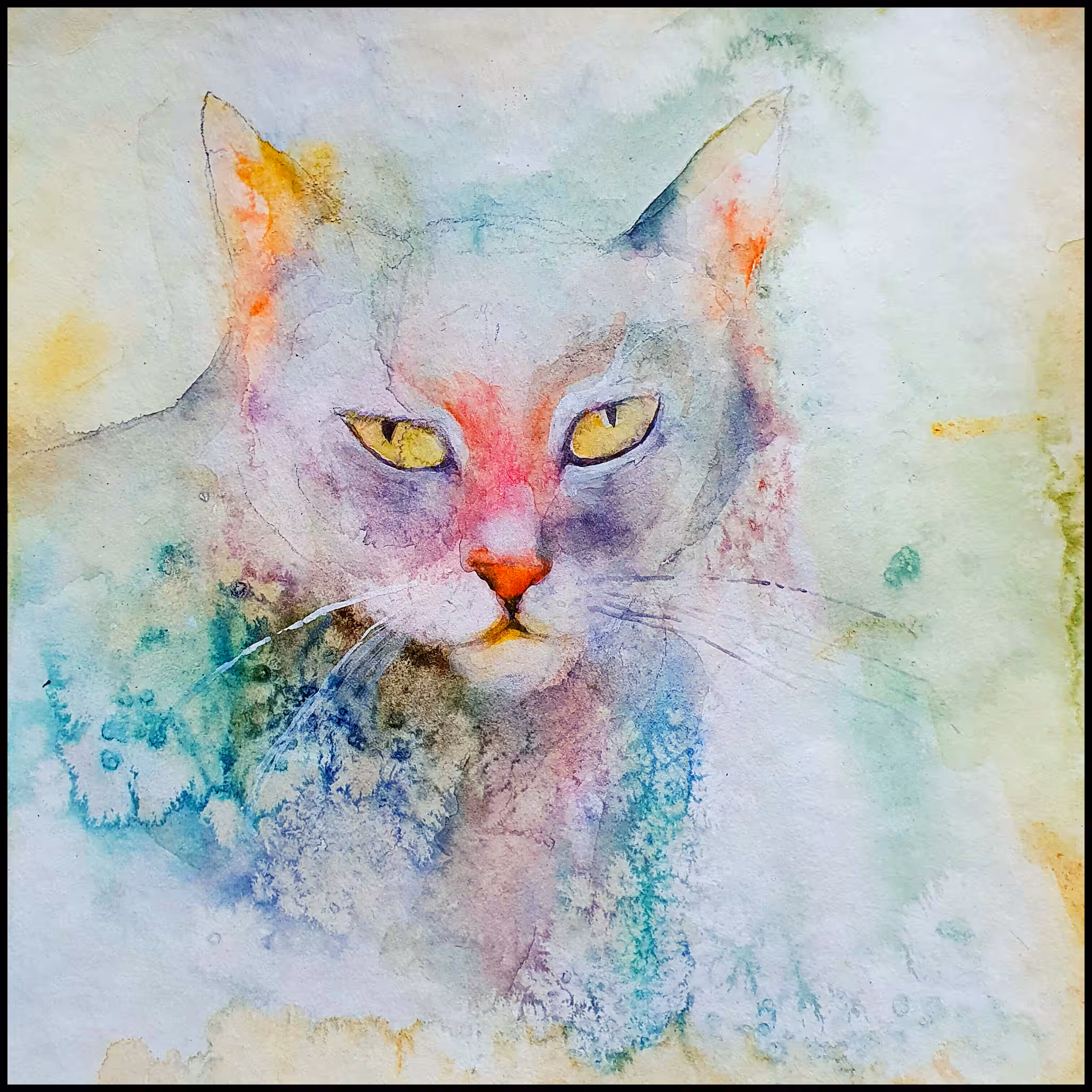 cat mint