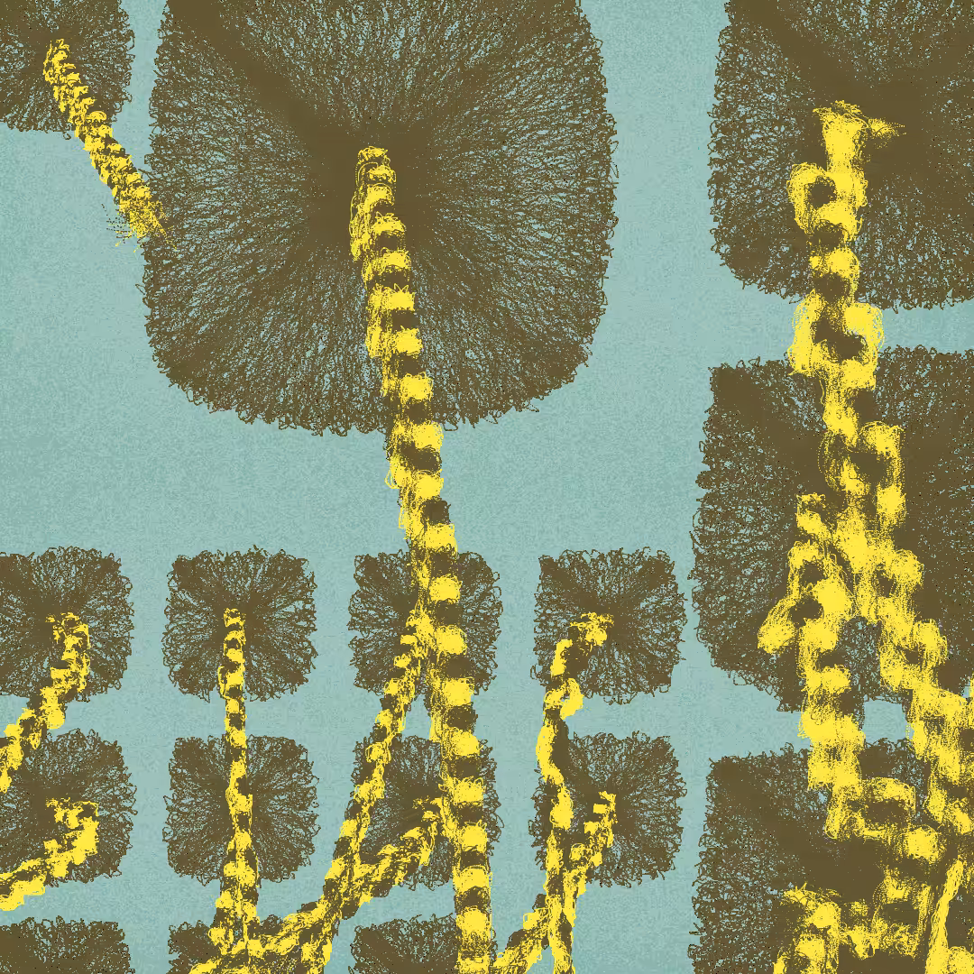 Beauty Supply Is Out of Du-Rags: A Personal Synthesis of Protection and Timeless Style #181