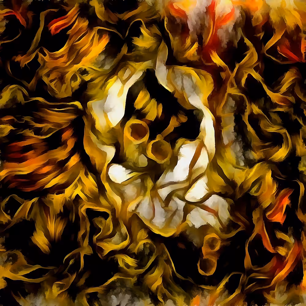 Woods on fire