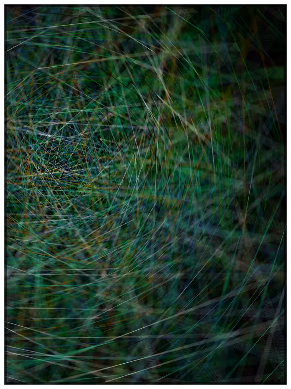 Haystack in a Needle #74