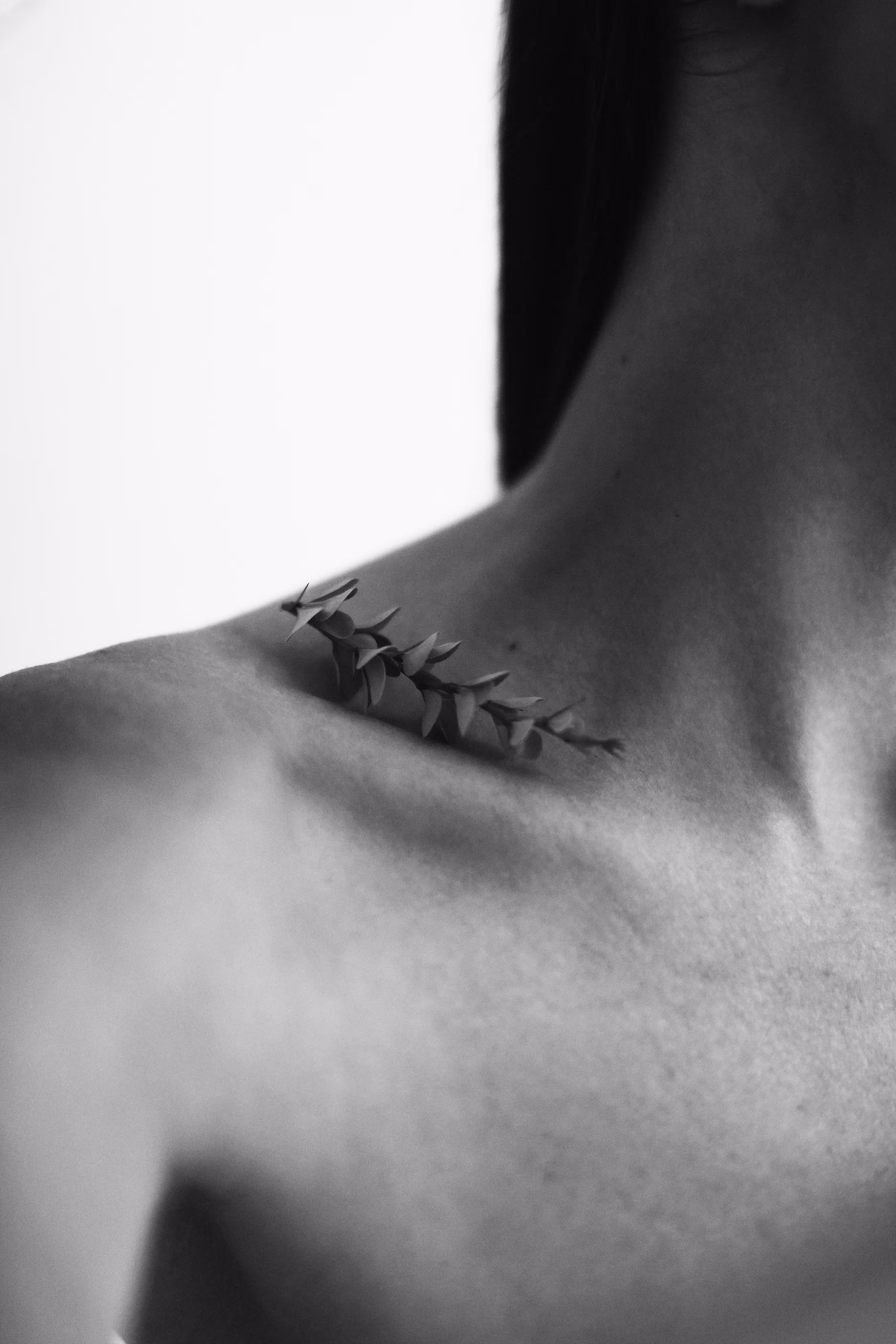 The sensuality of natural lines