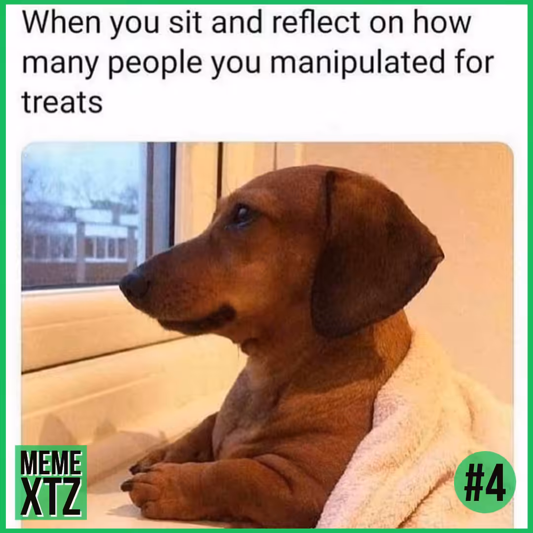 MEME XTZ #4