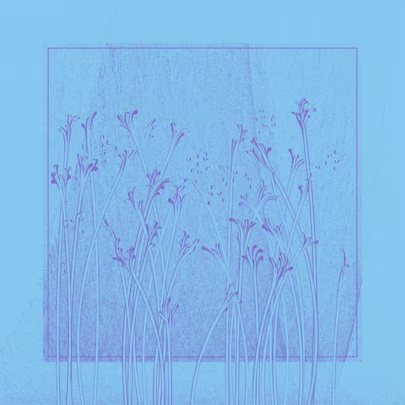 string_pllu #58