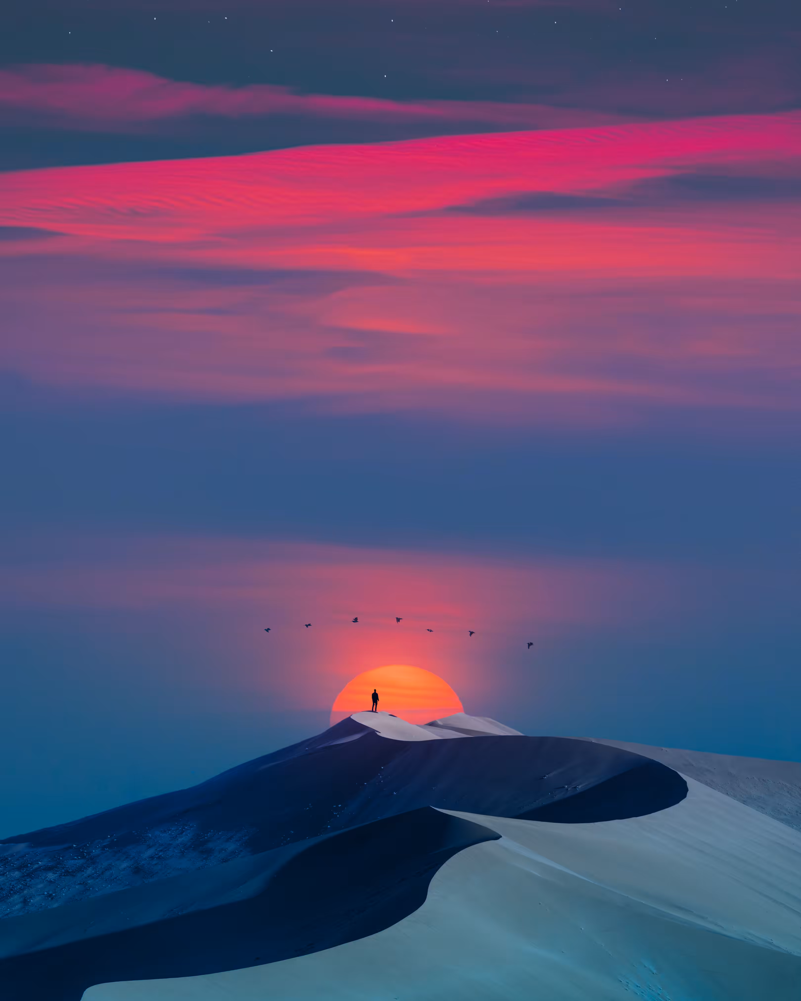 winter sun.