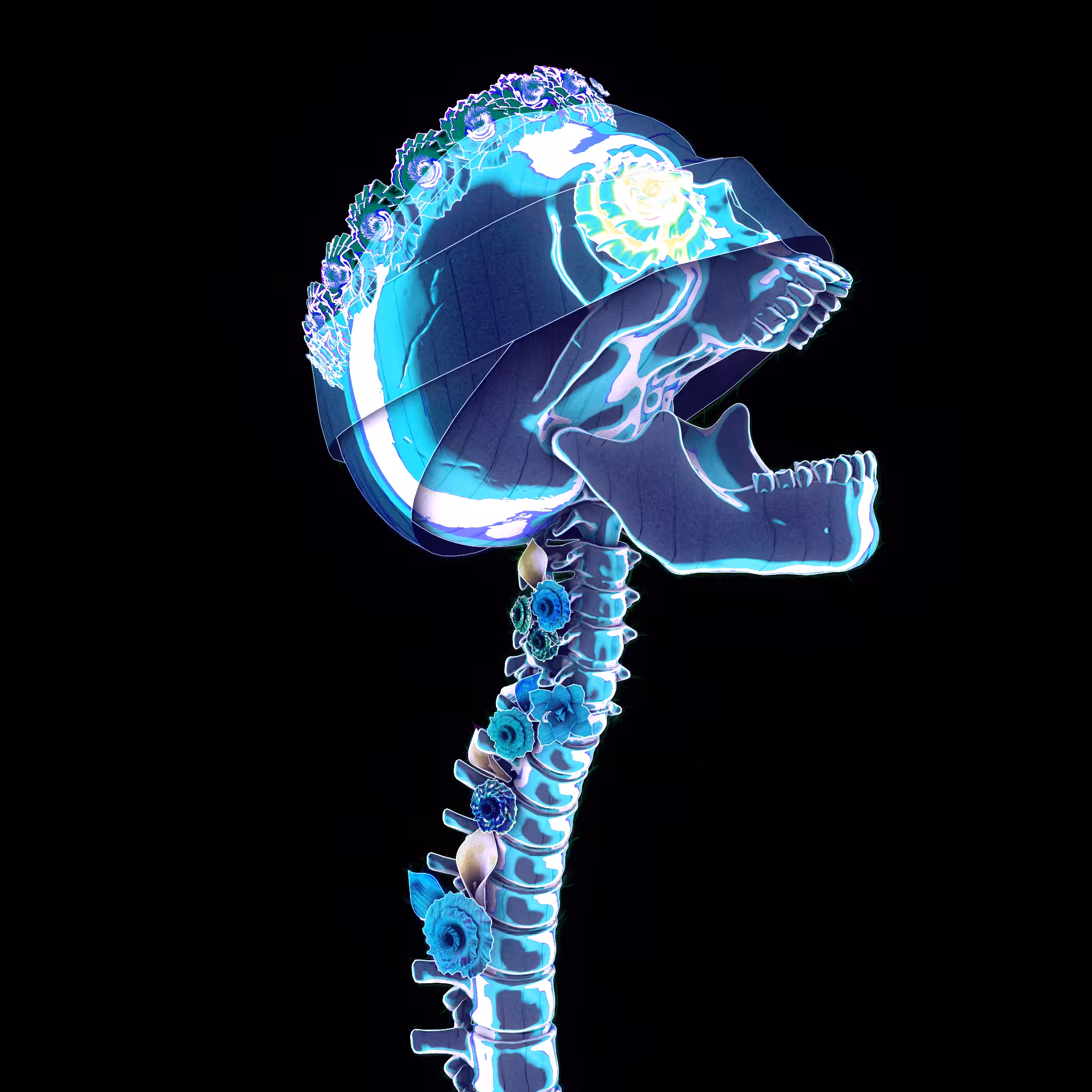 In the form of a skeleton #64