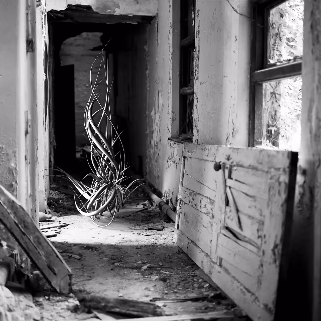 Silence in the Hallways