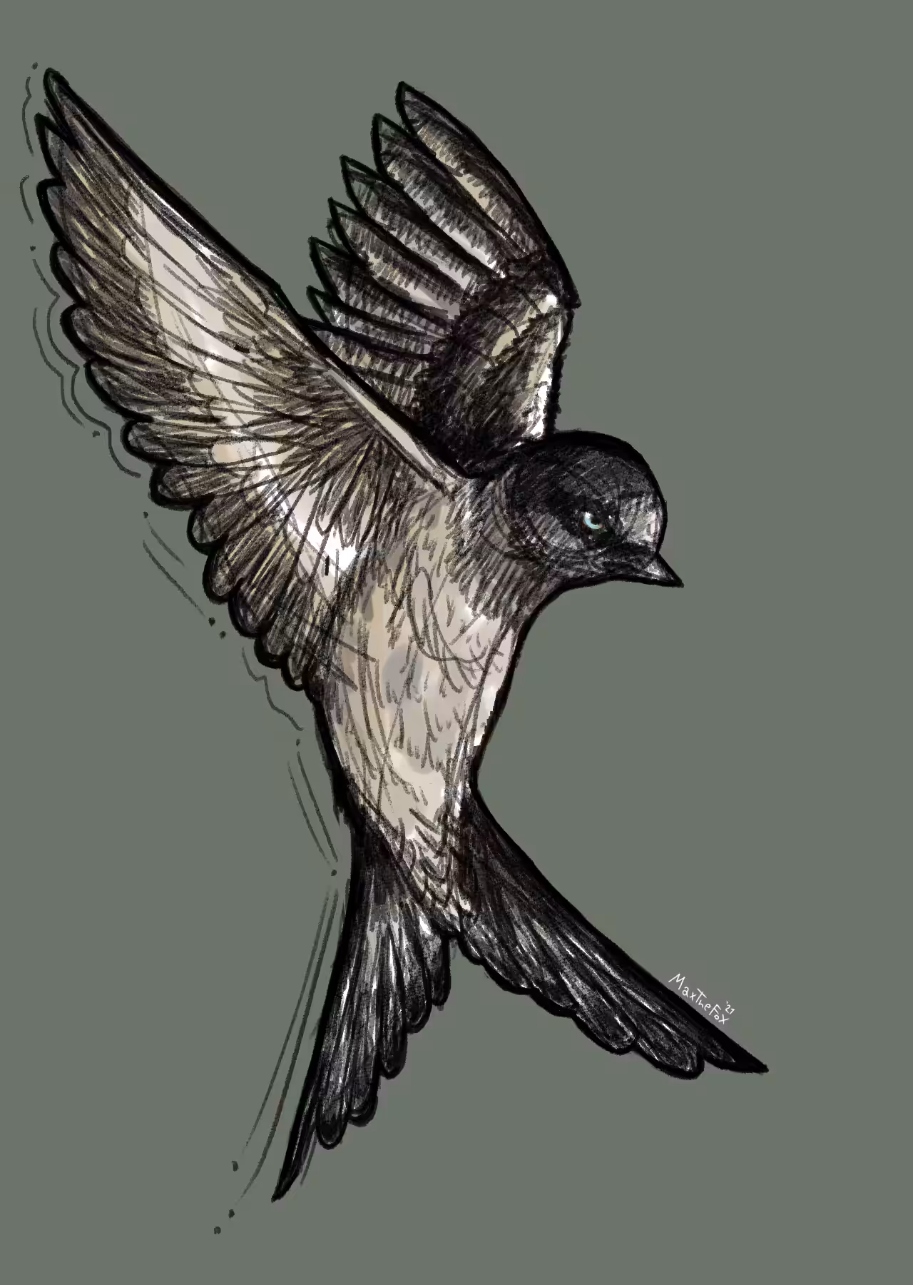 little bird