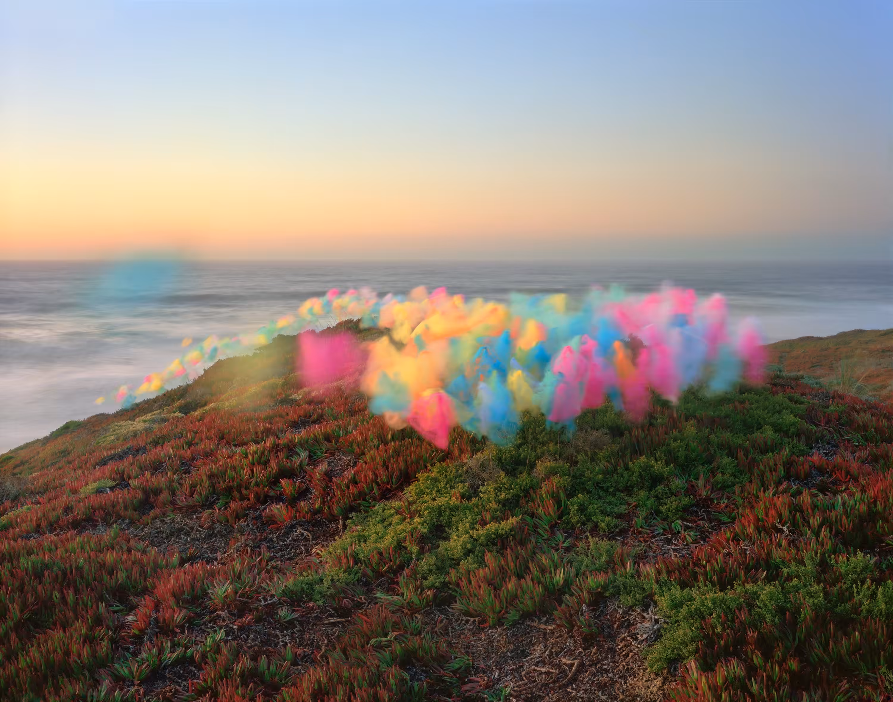 Tulle 005