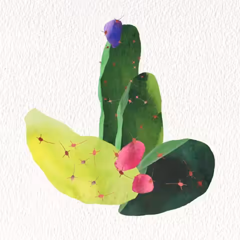 Cactus Flower