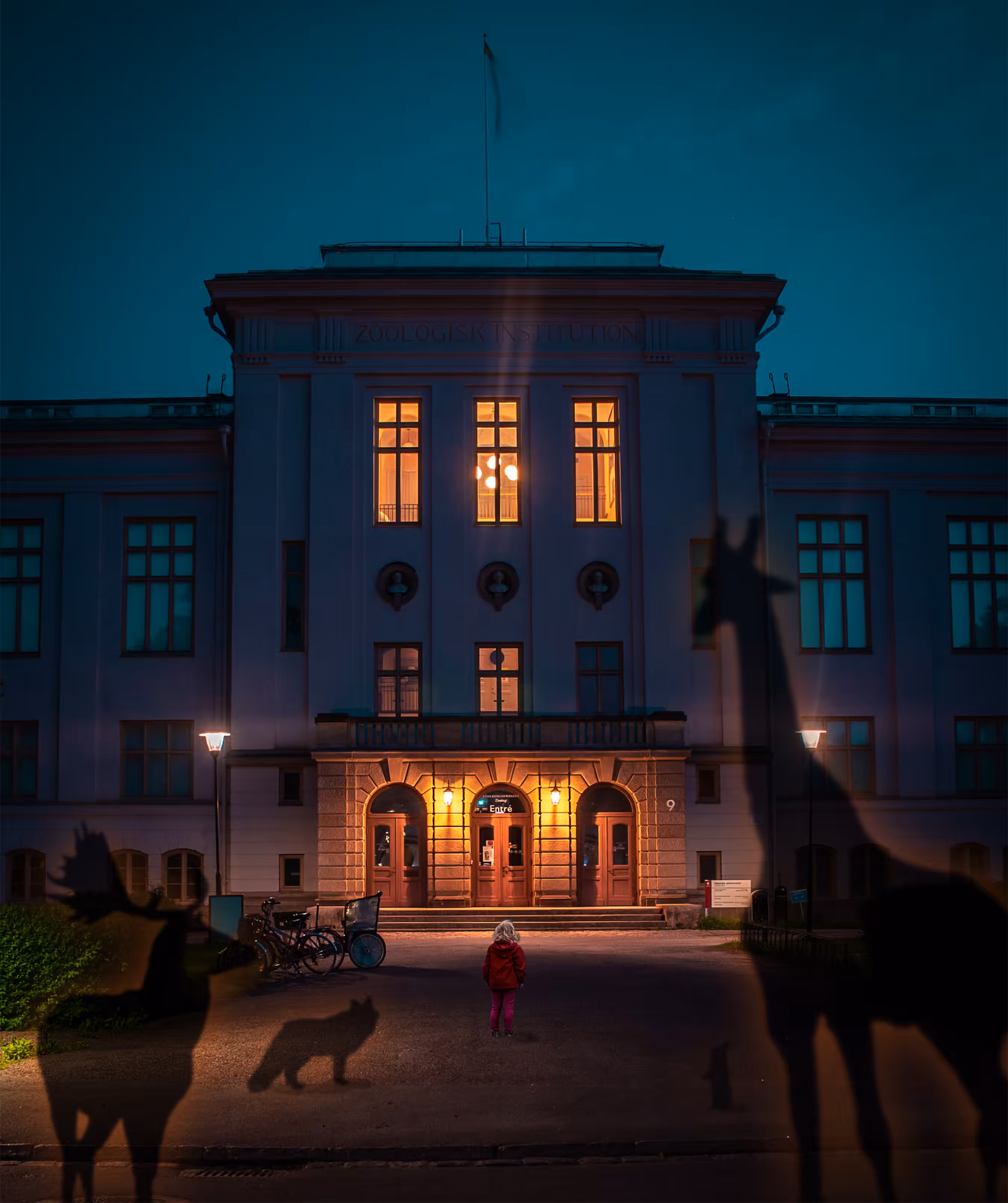 Zoological Night