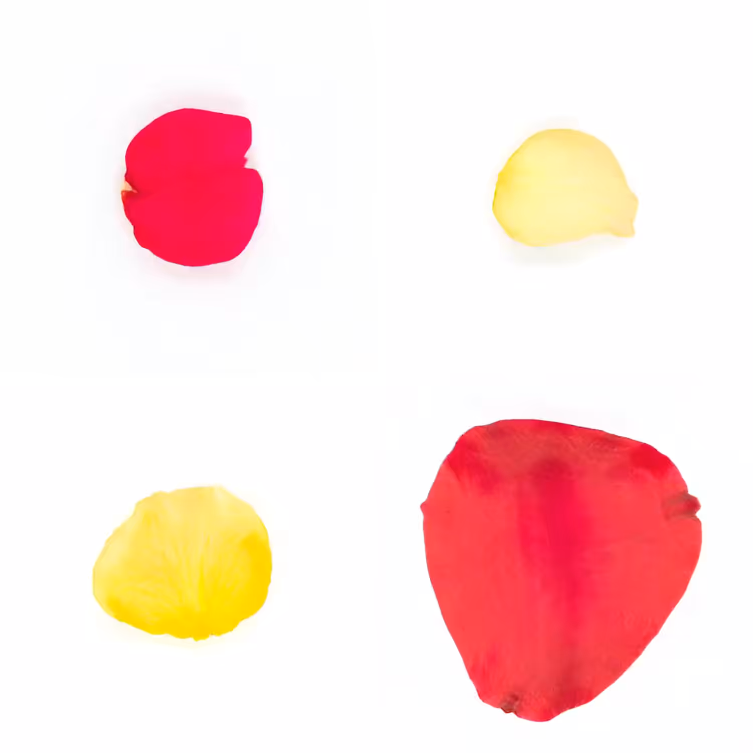 Infinite Petals 2x2#20186