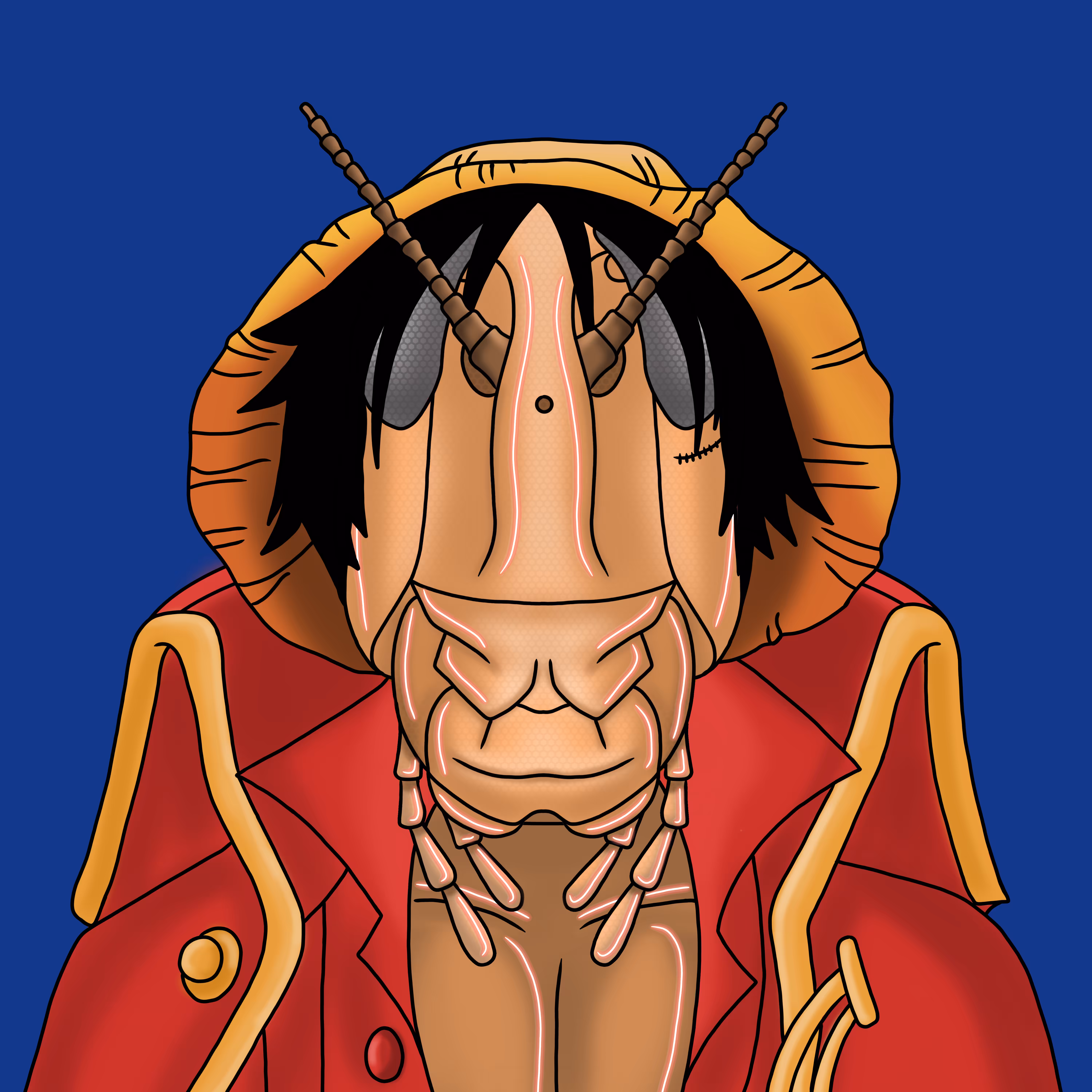 Valanga D Luffy