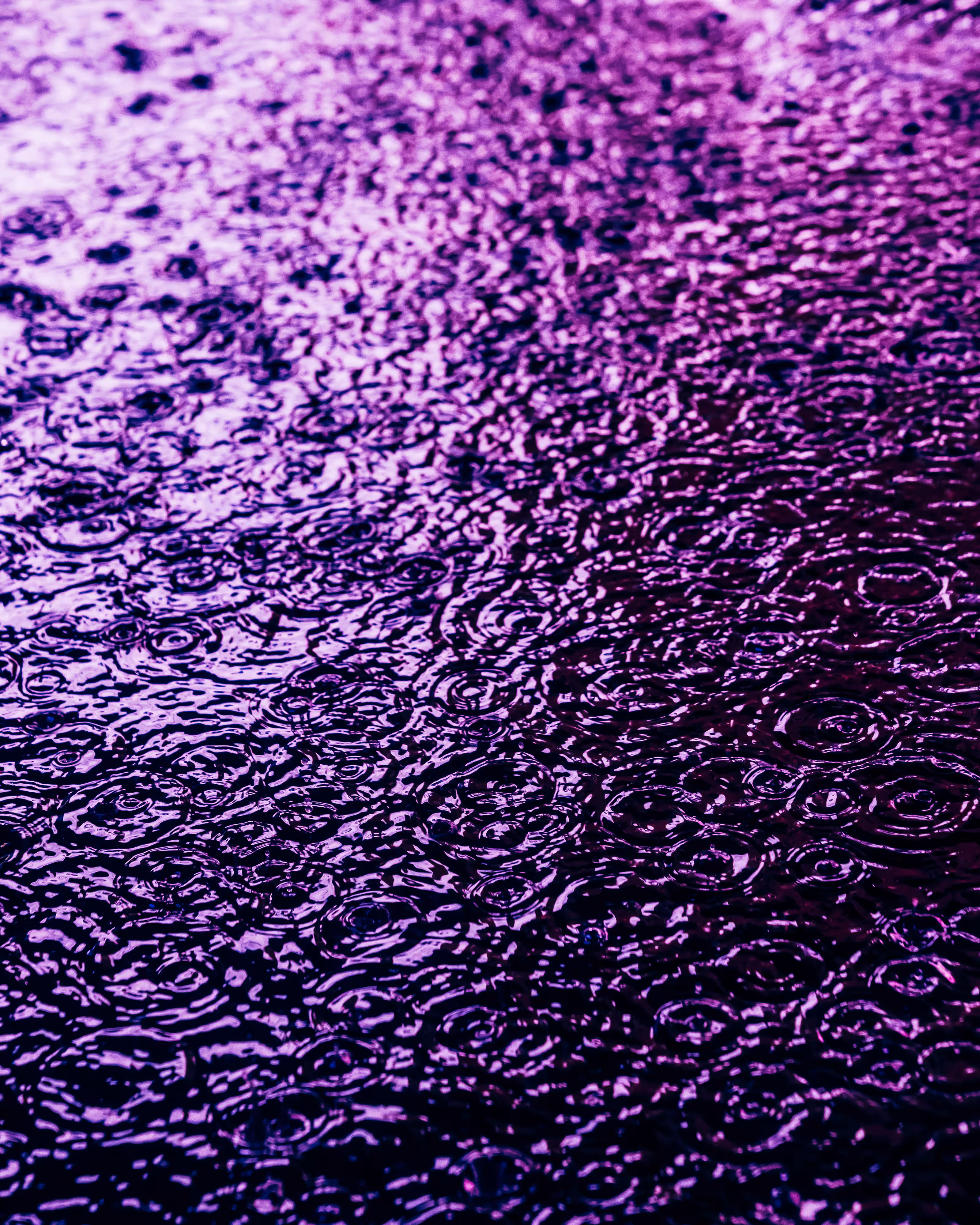 DRIP #388