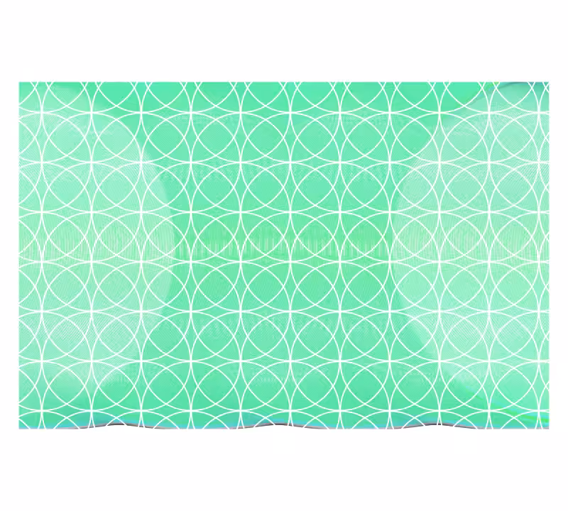 Seashells #3