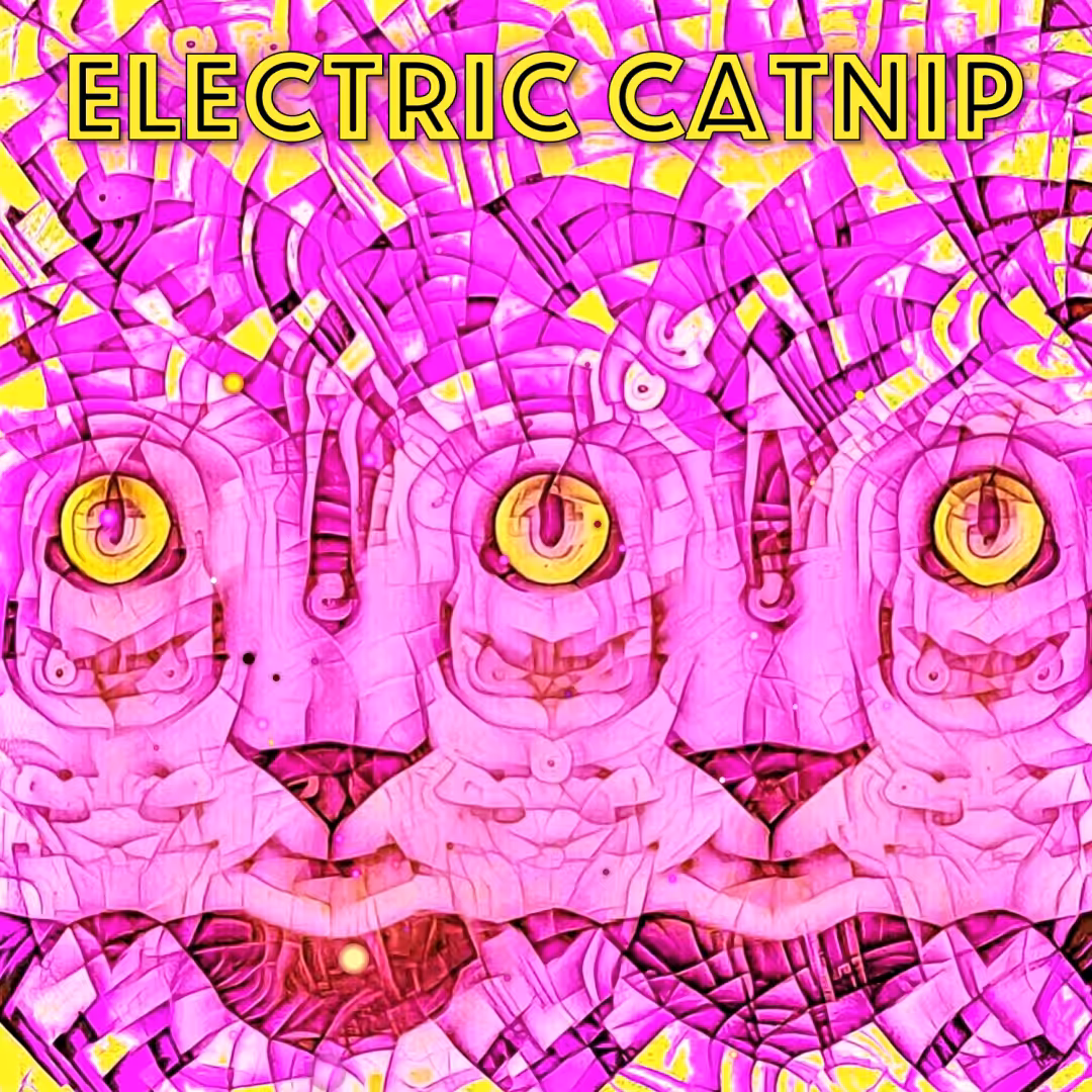 Electric Catnip: 1st Album Cover