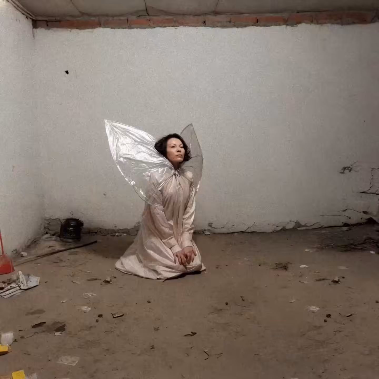 Fairy