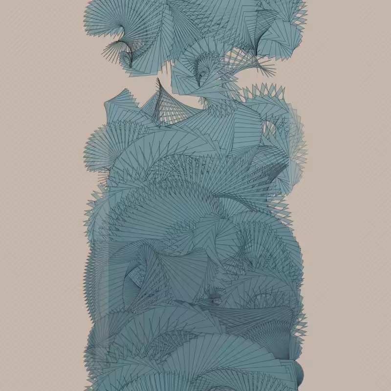 Braids/burdens #47