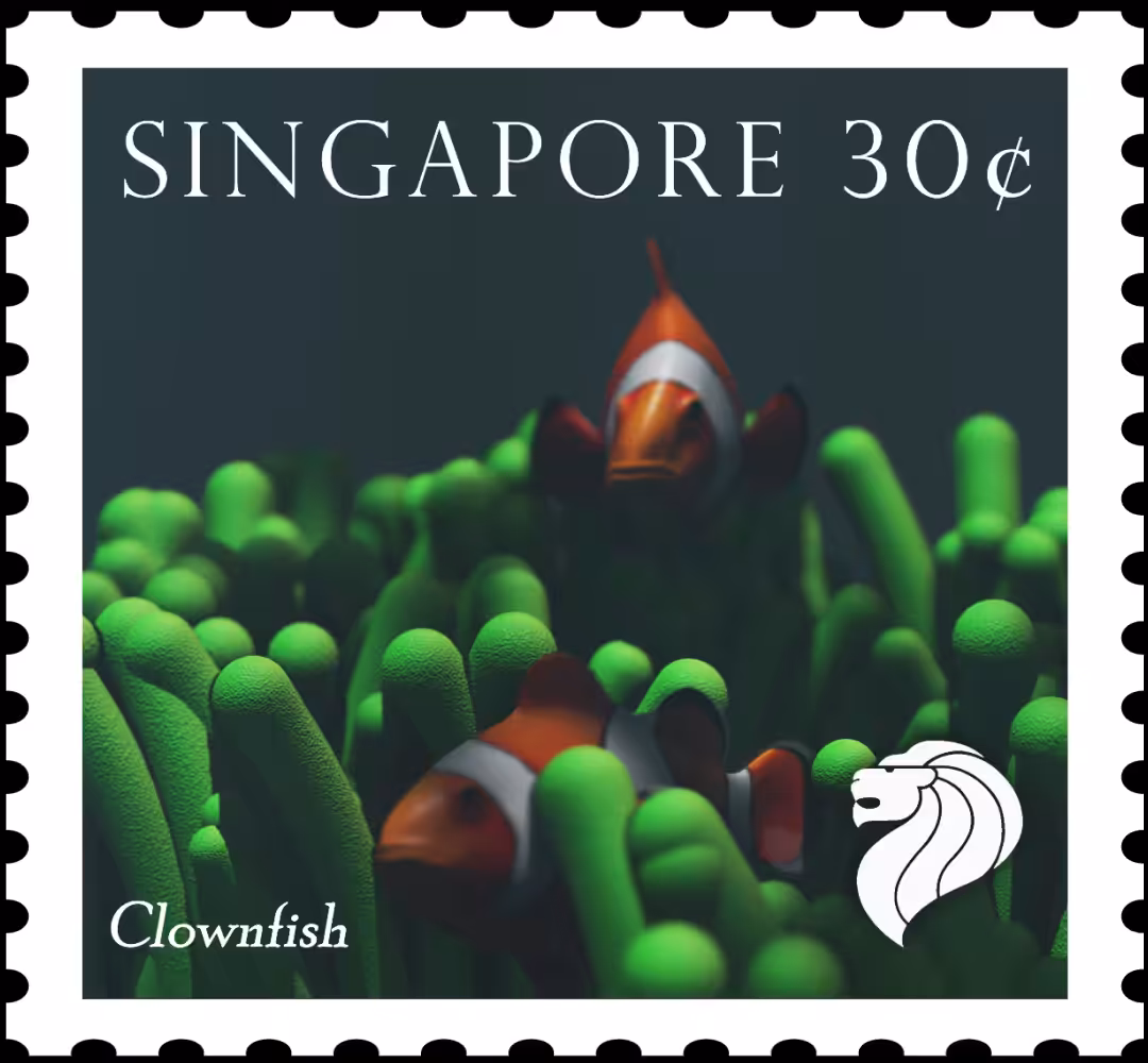 SINGAPORE CLOWNFISH 