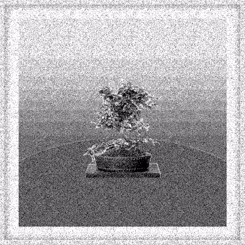 Bonsai Bonanza #66