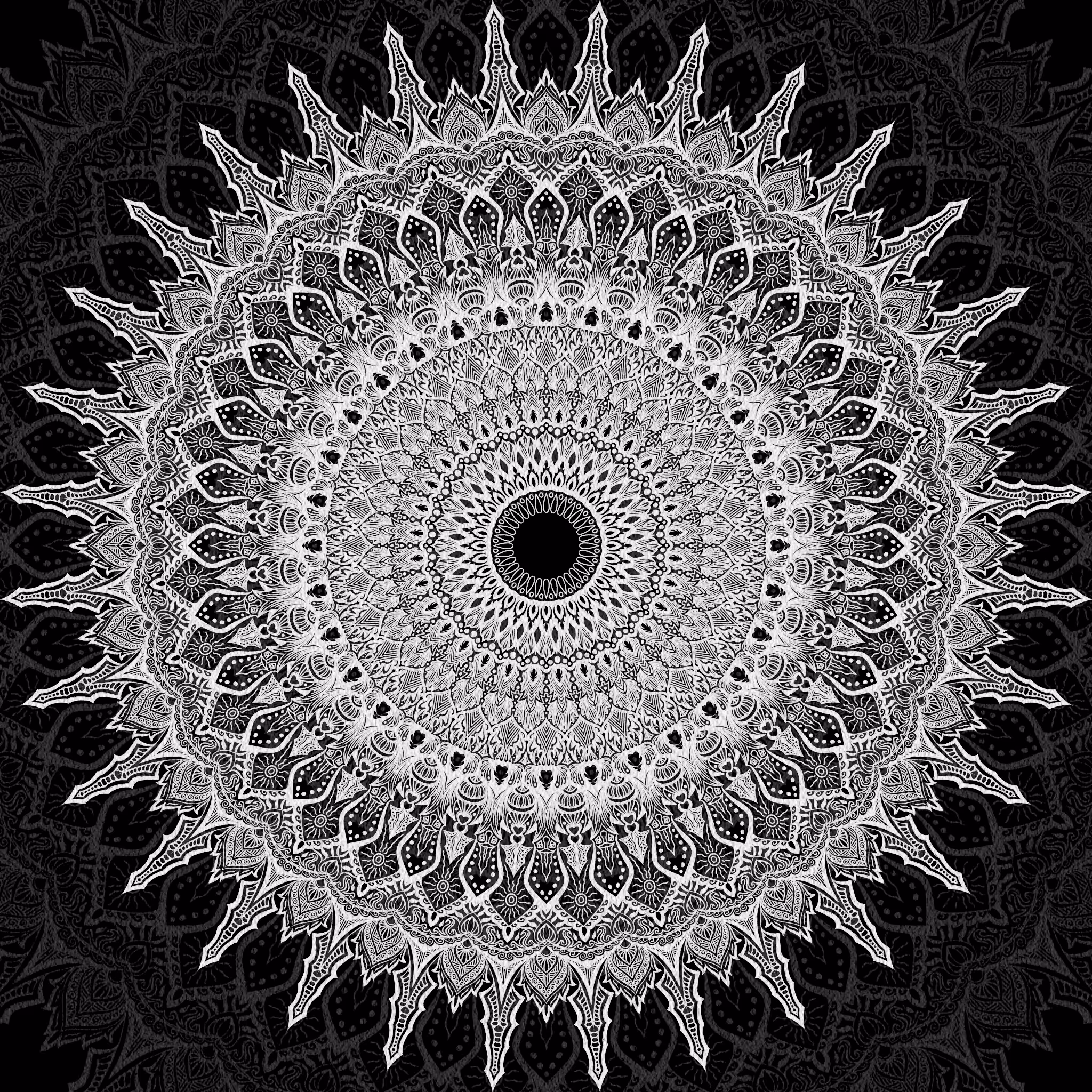 Black and White: BW Mandala 16