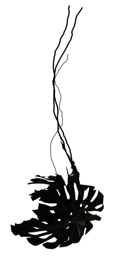 Topic's shadow