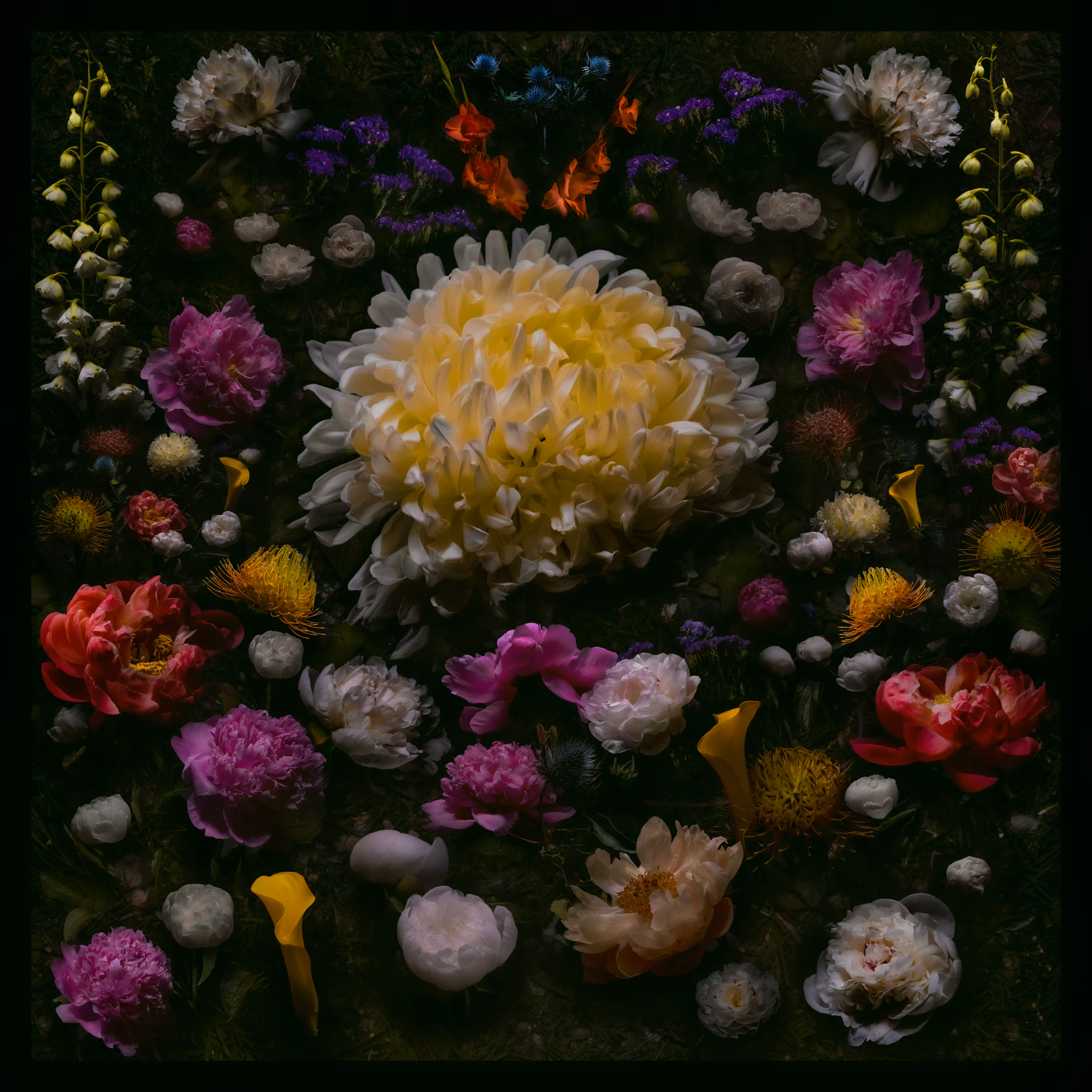 AUREUM VICTORIA