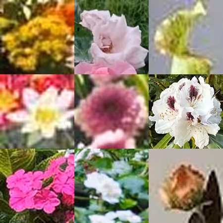 https://internet.flowers/bouquet031.jpg