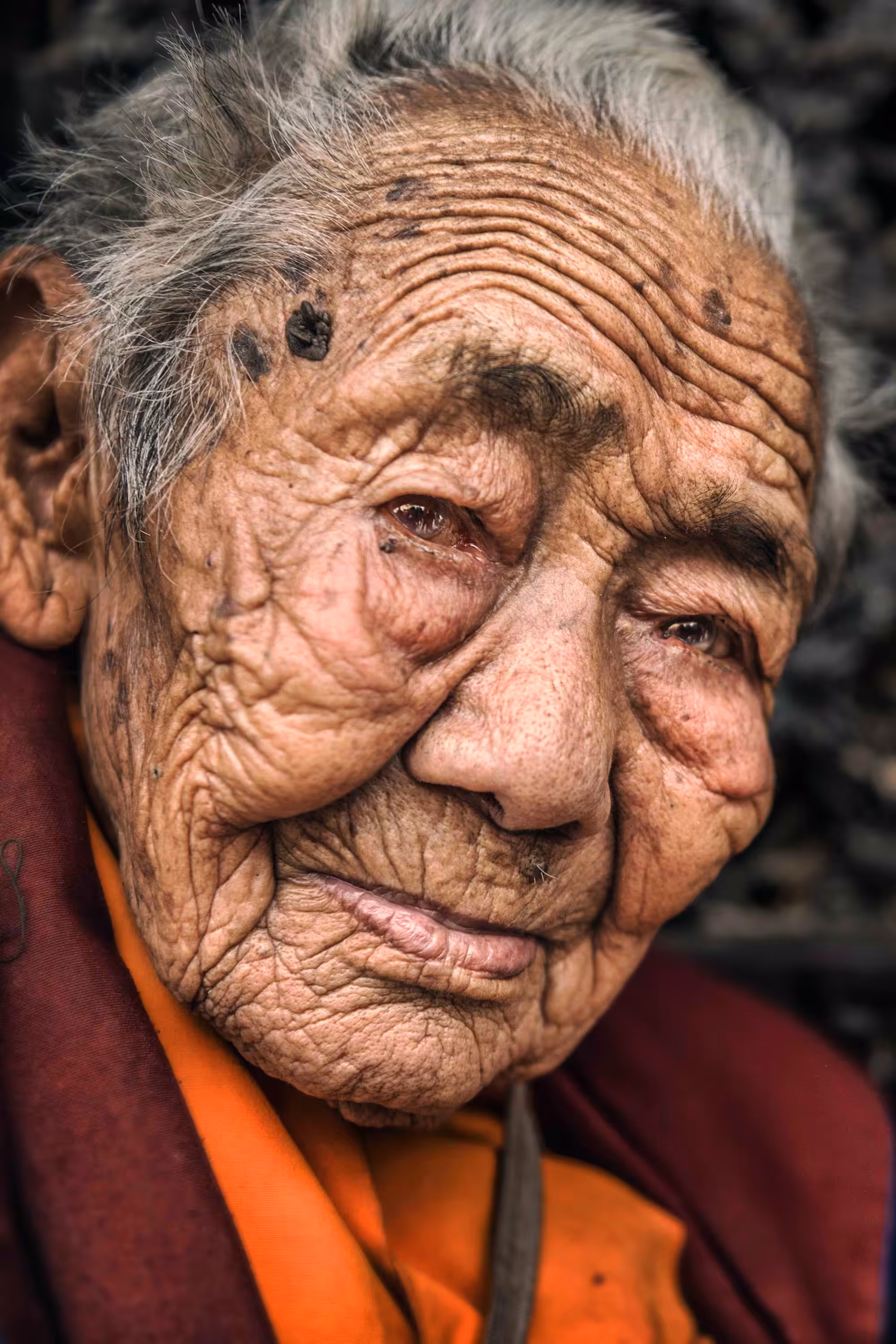 Portraits: The Buddhist Nun